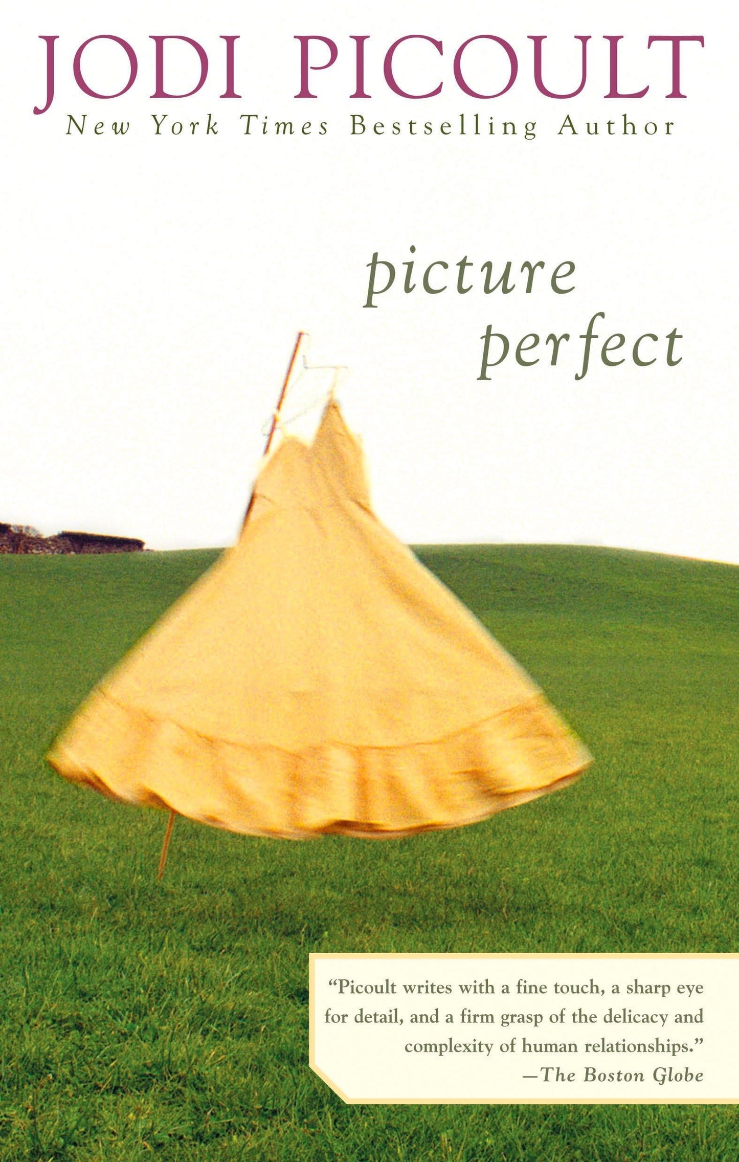 Picture Perfect - 815