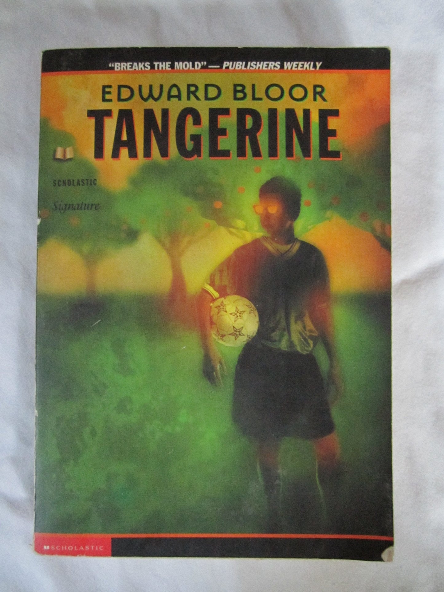 Tangerine The Happy Book Stack