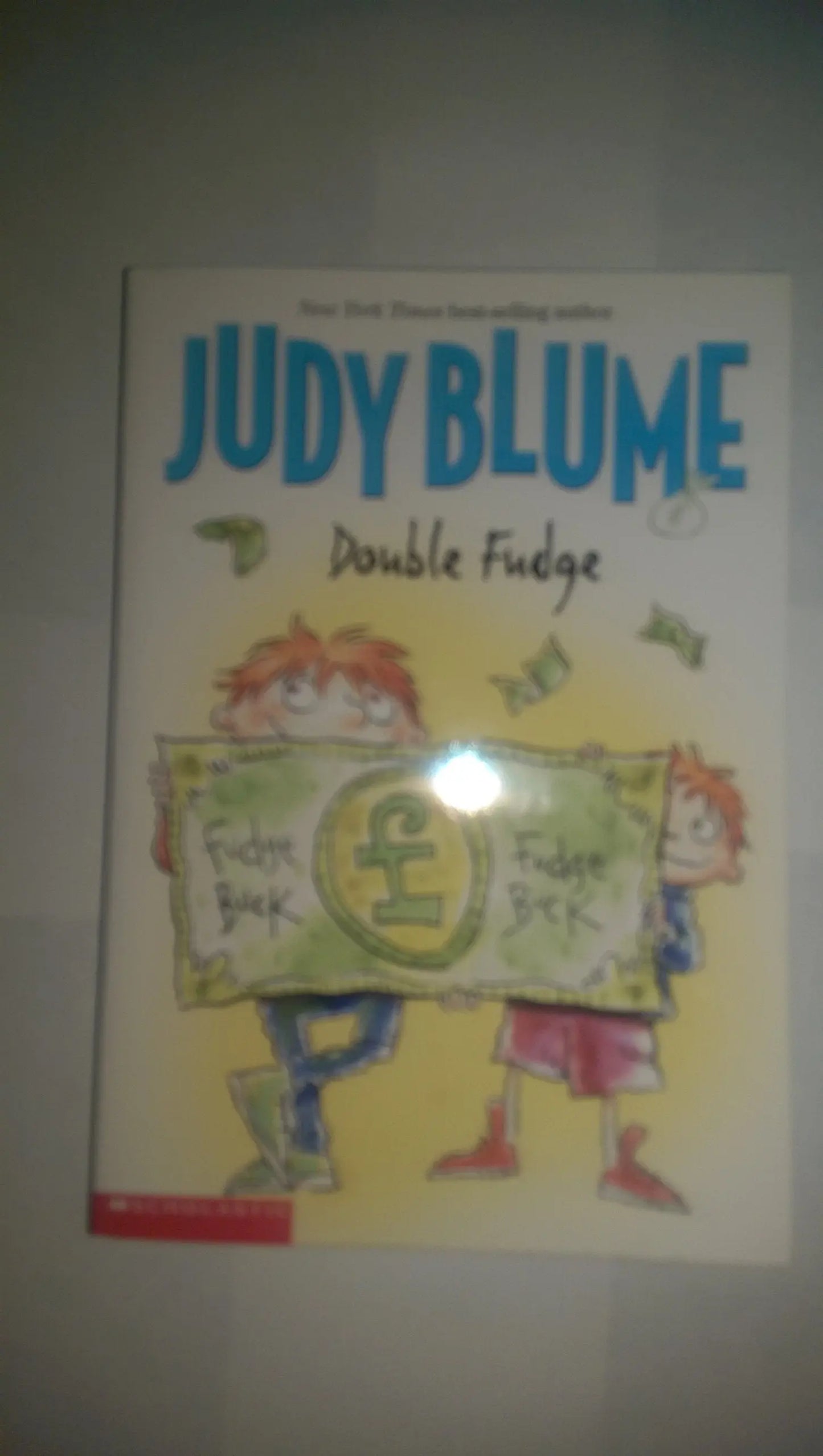 Double Fudge The Happy Book Stack