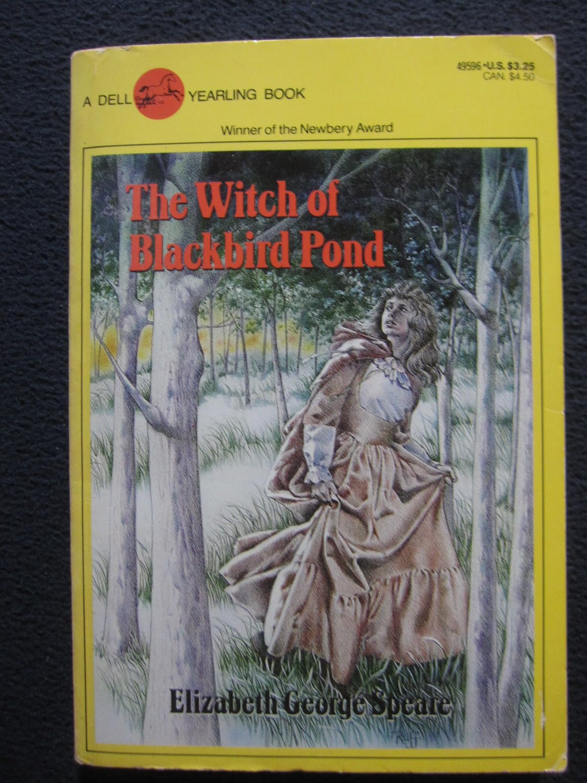 The Witch of Blackbird Pond The Happy Book Stack