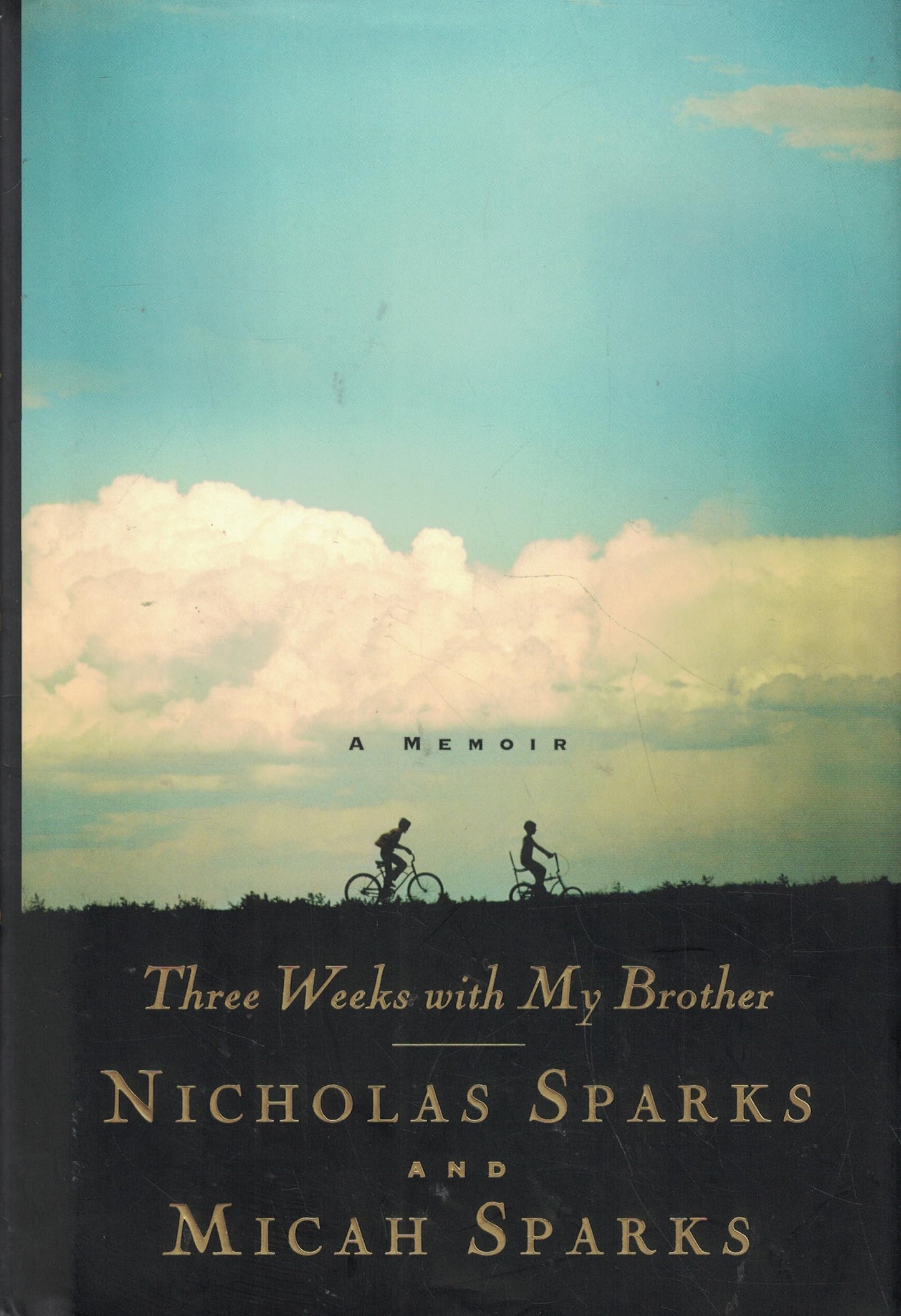 Three Weeks with My Brother The Happy Book Stack