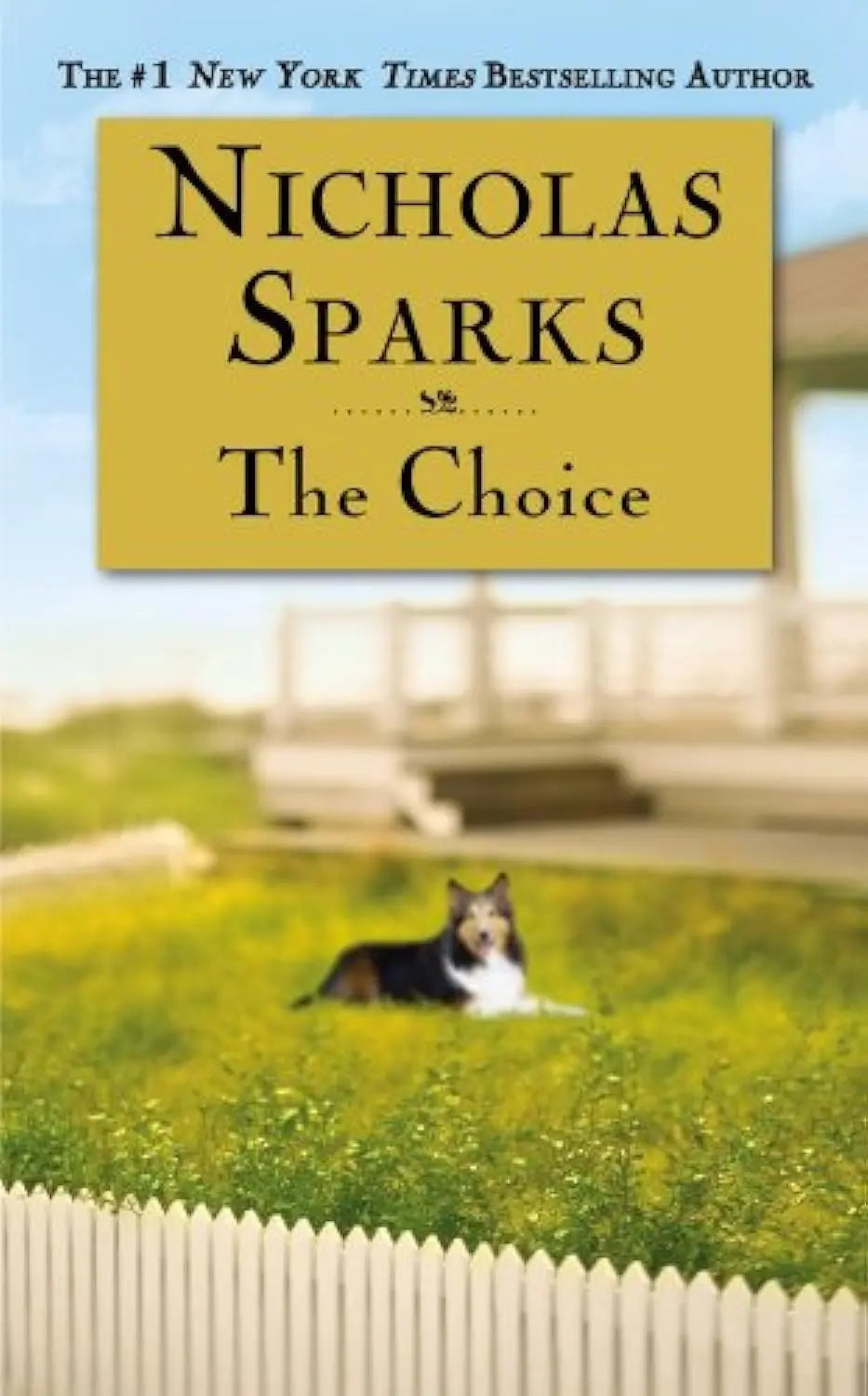 The Choice The Happy Book Stack