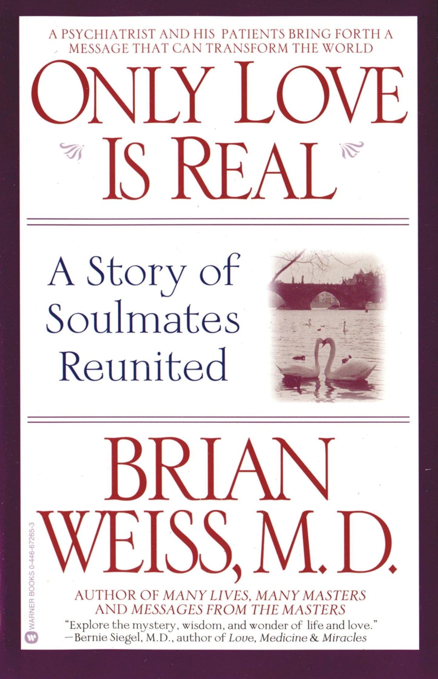Only Love Is Real: A Story of Soulmates Reunited The Happy Book Stack