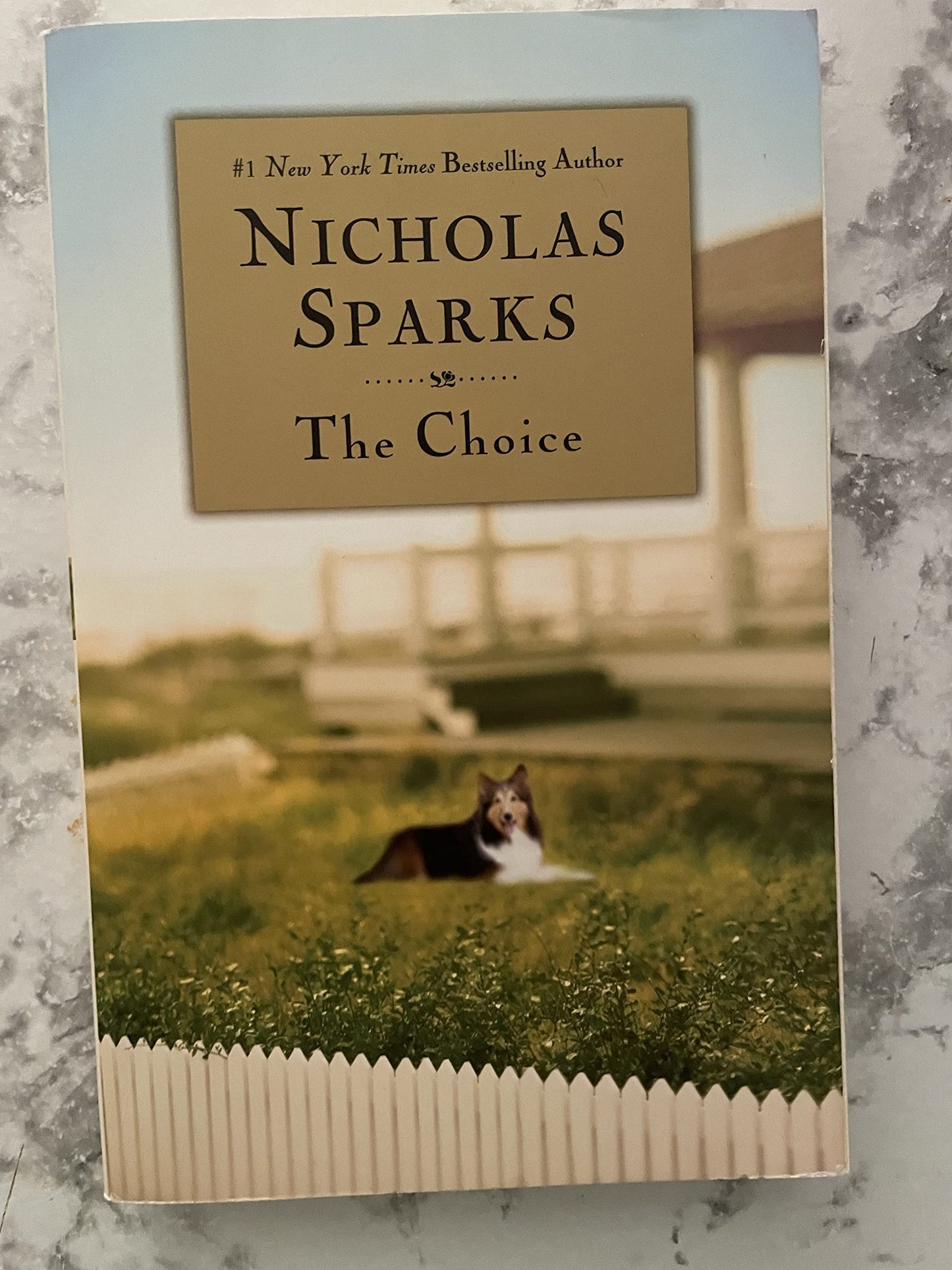 The Choice The Happy Book Stack