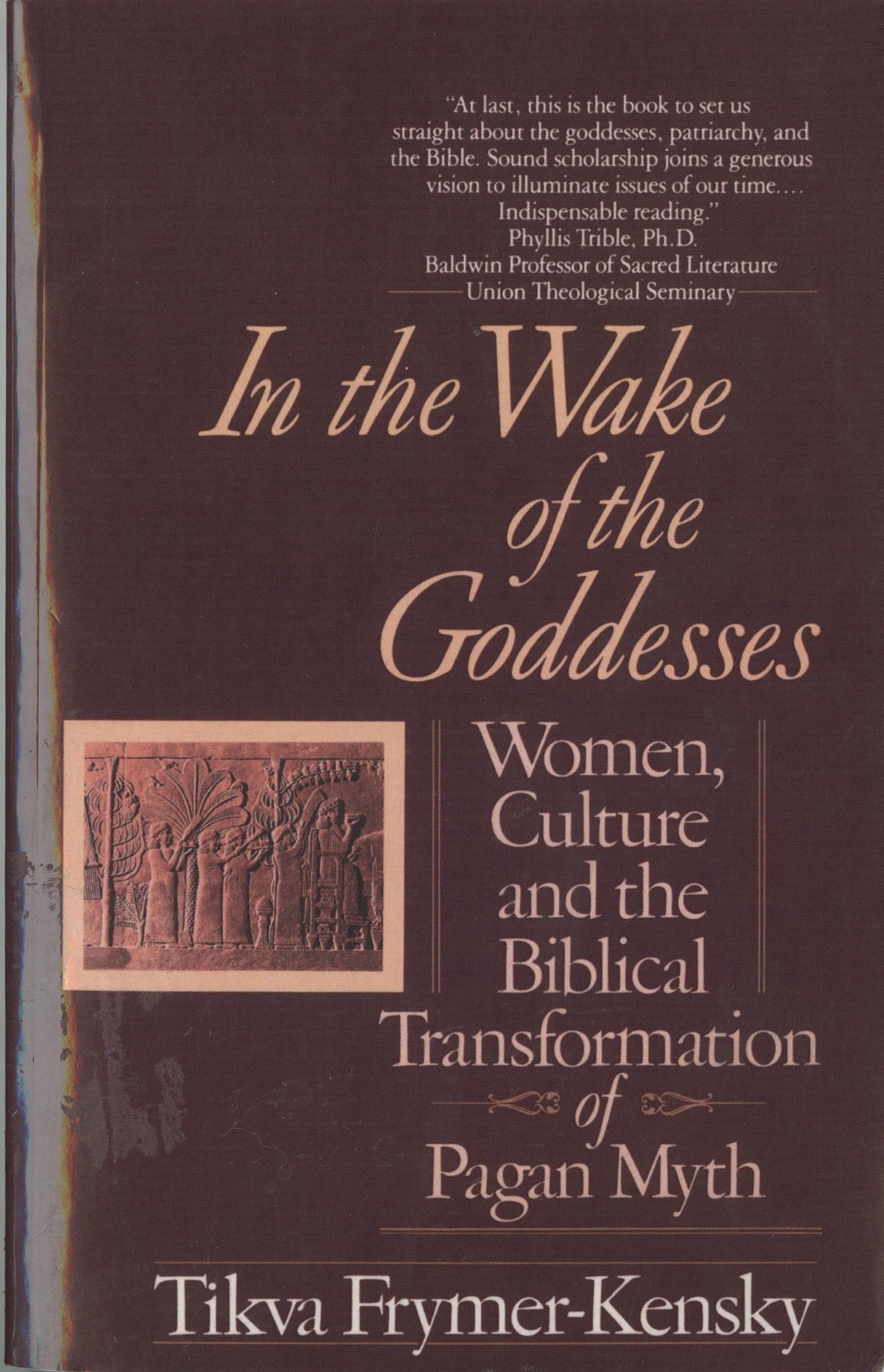 In the Wake of the Goddesses: Women, Culture and the Biblical Transformation of Pagan Myth - 541