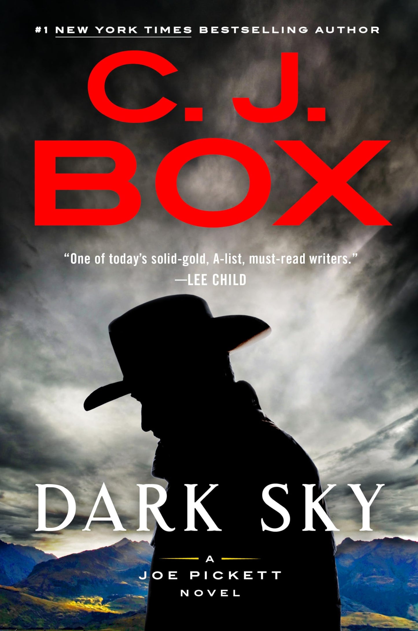 Dark Sky (A Joe Pickett Novel) The Happy Book Stack
