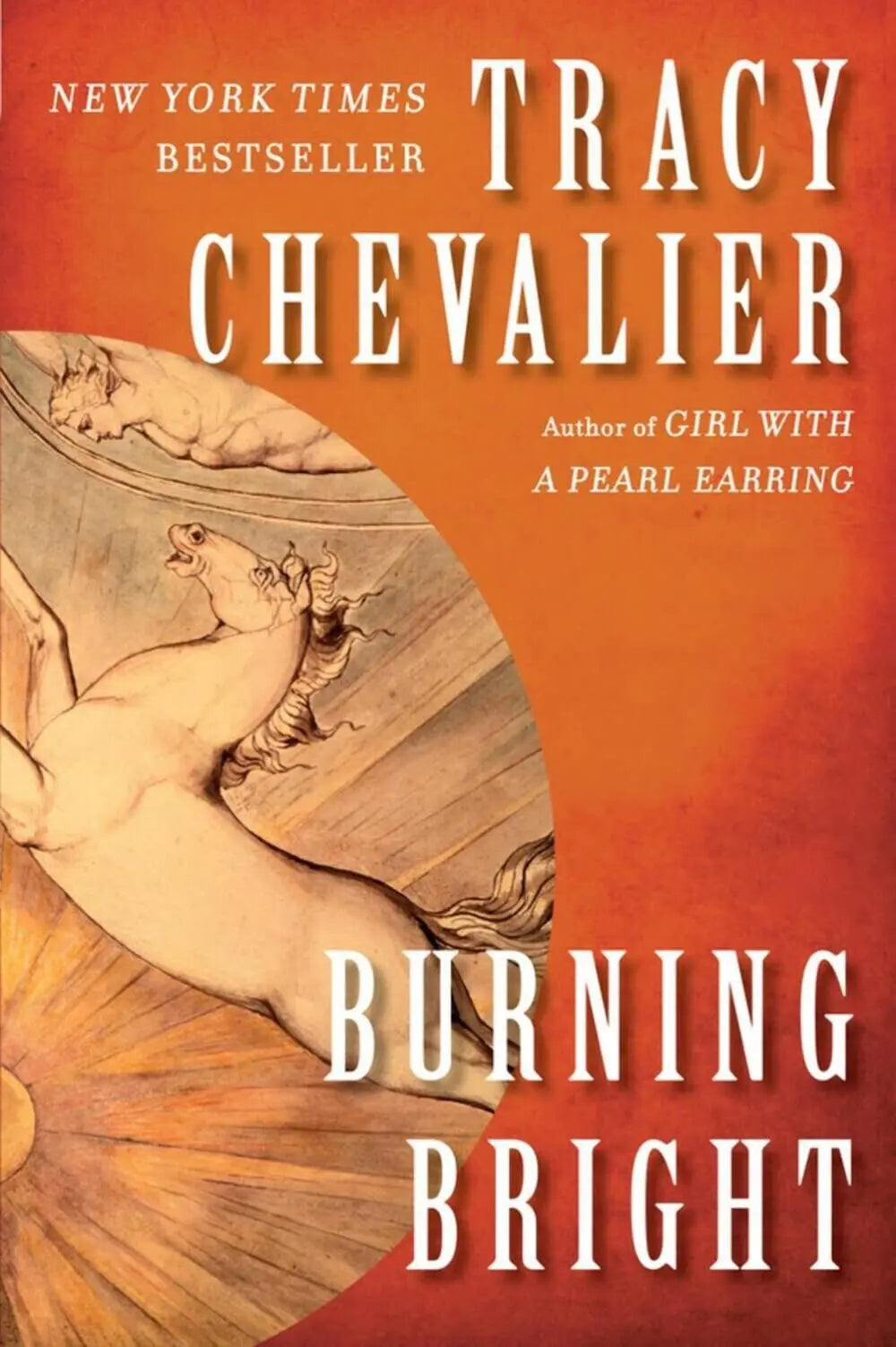 Burning Bright The Happy Book Stack