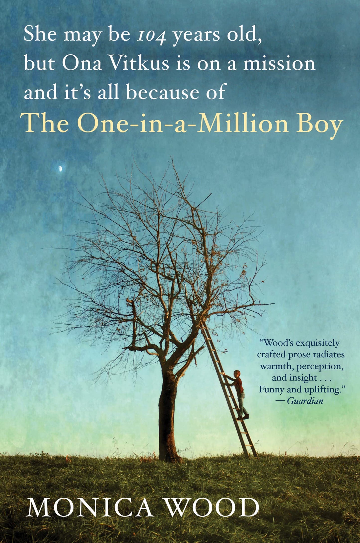 The One-In-A-Million Boy - 7638