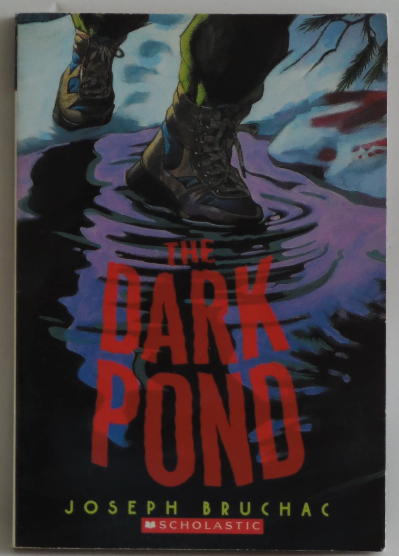 The Dark Pond The Happy Book Stack