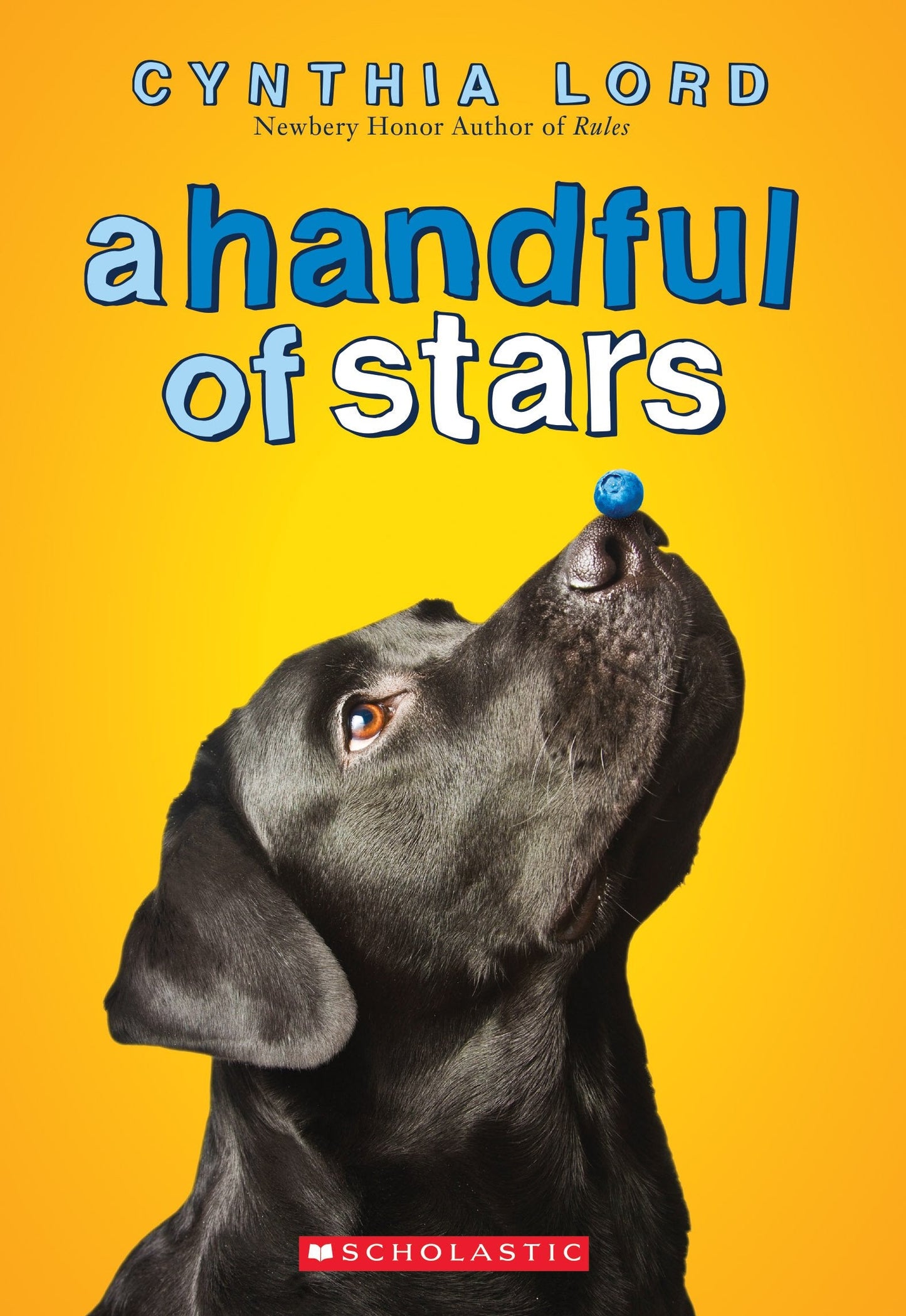 A Handful of Stars The Happy Book Stack