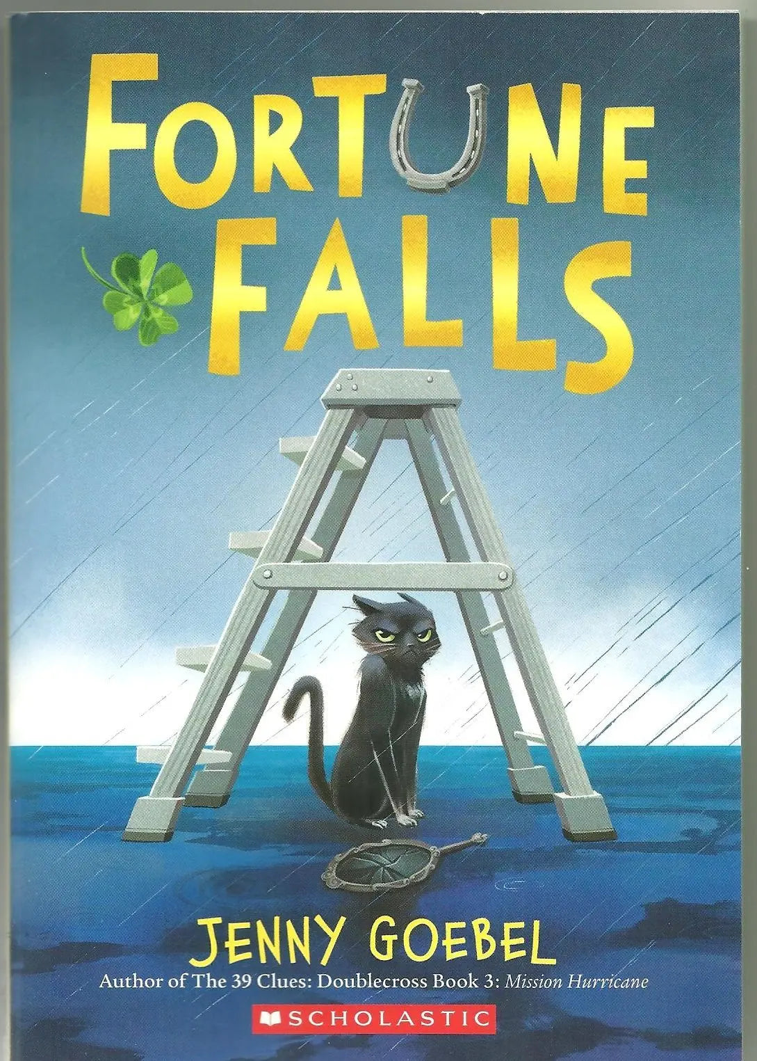 Fortune Falls The Happy Book Stack