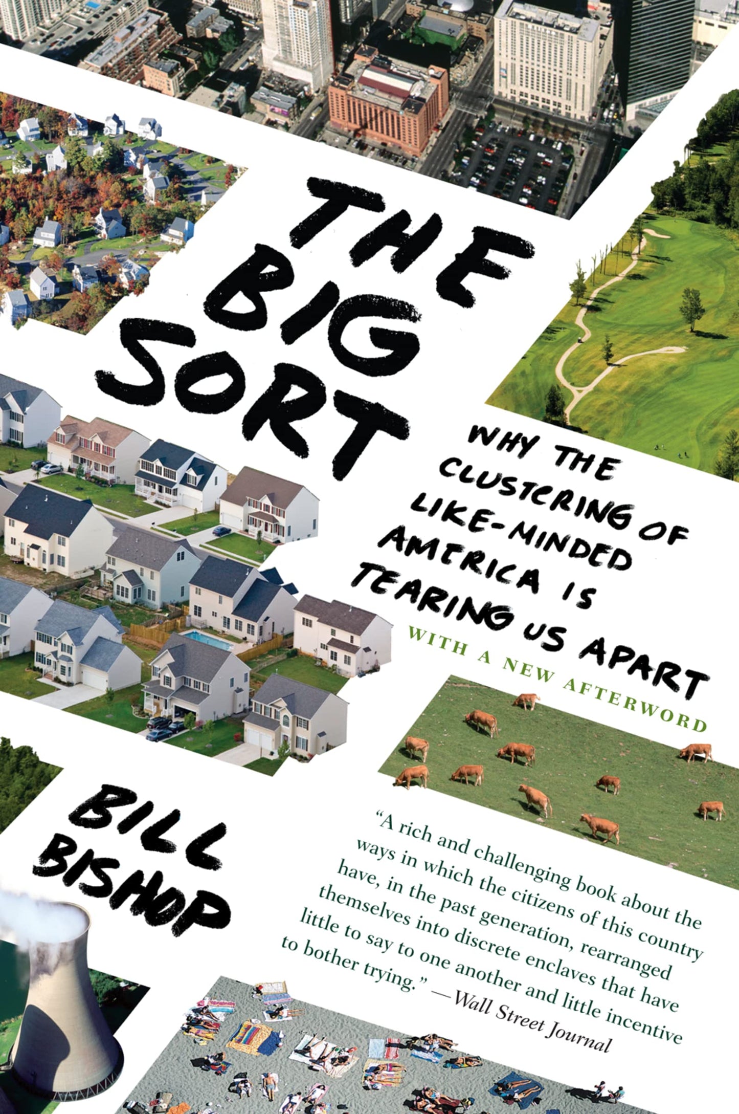 The Big Sort: Why the Clustering of Like-Minded American is Tearing Us Apart The Happy Book Stack