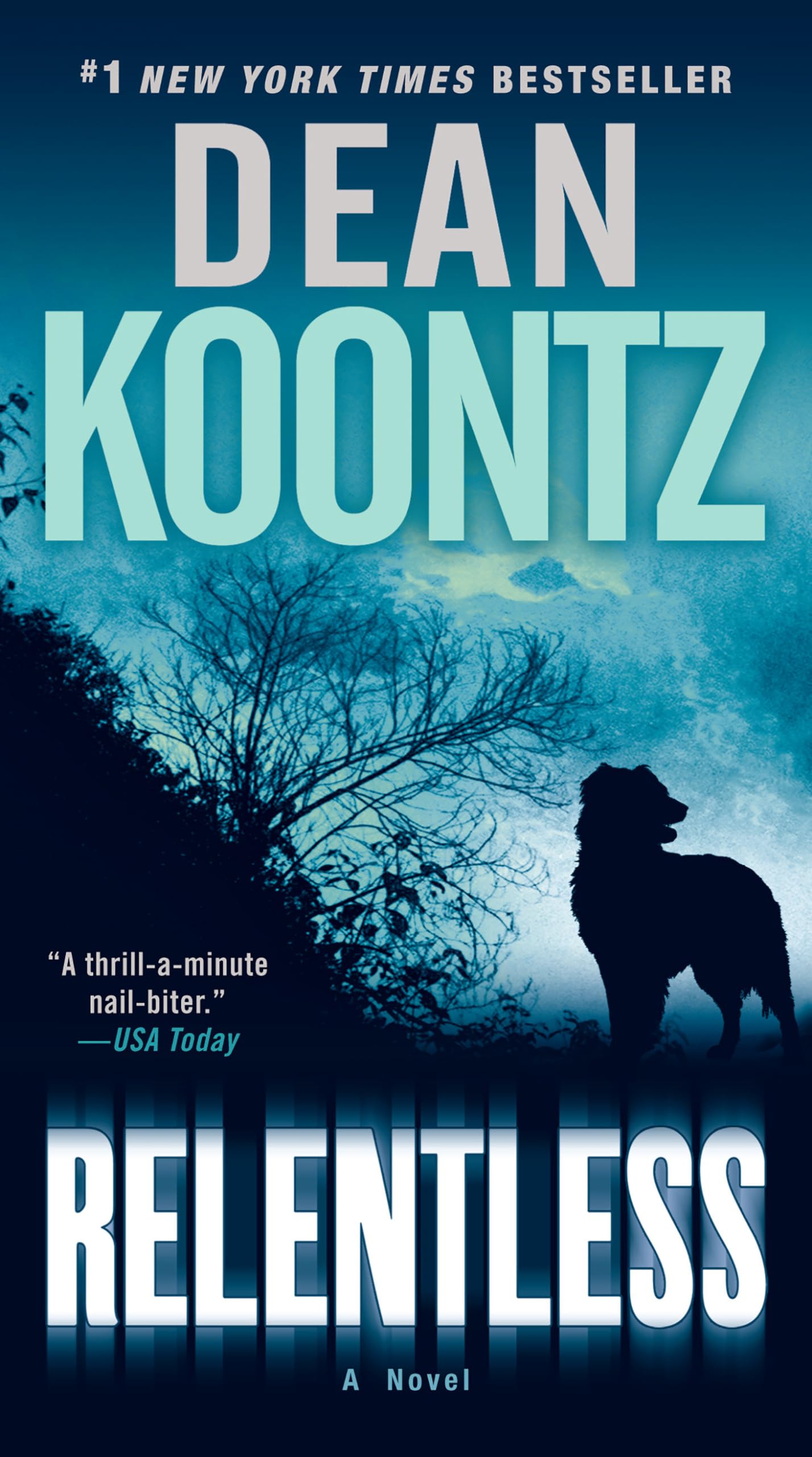 Relentless: A Novel The Happy Book Stack
