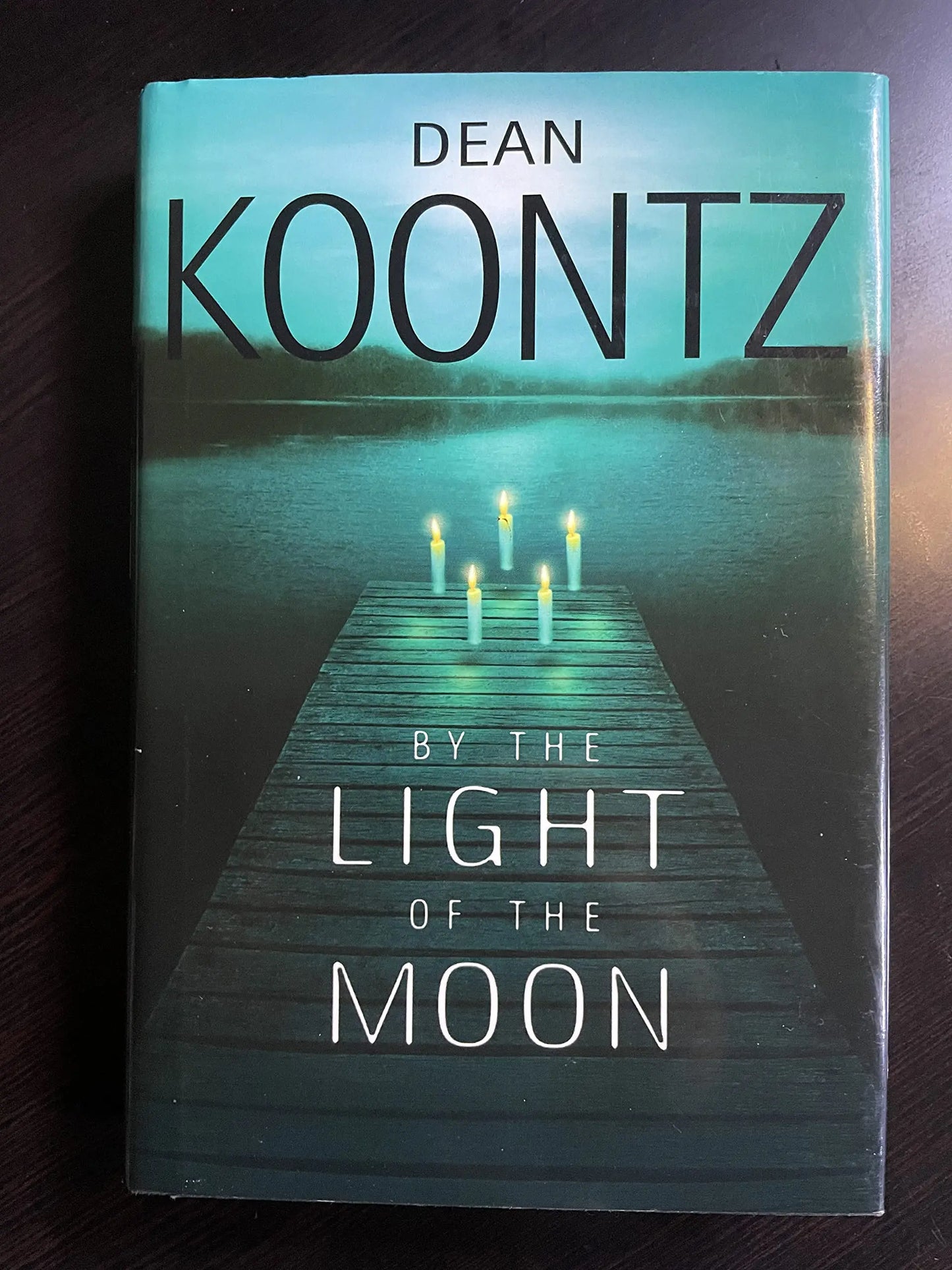 By the Light of the Moon The Happy Book Stack