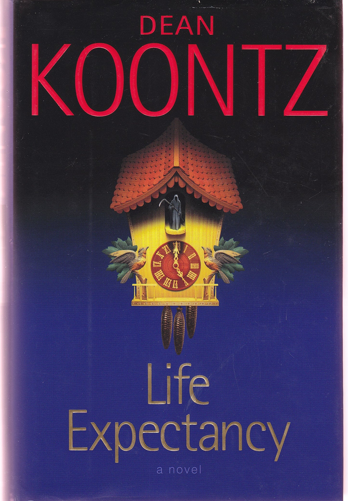 Life Expectancy: A Novel The Happy Book Stack