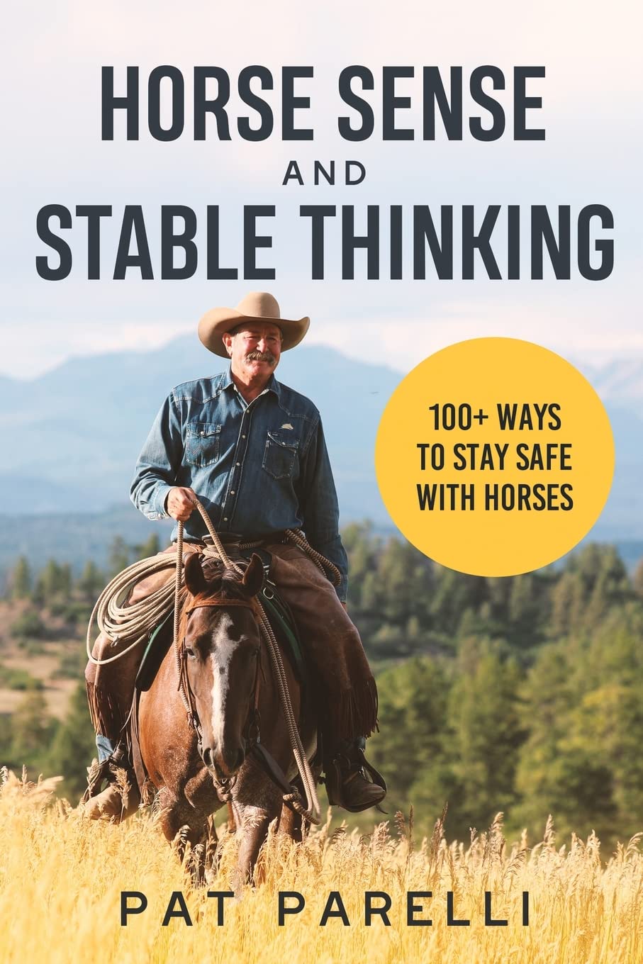 Horse Sense and Stable Thinking: 100+ Ways to Stay Safe With Horses The Happy Book Stack