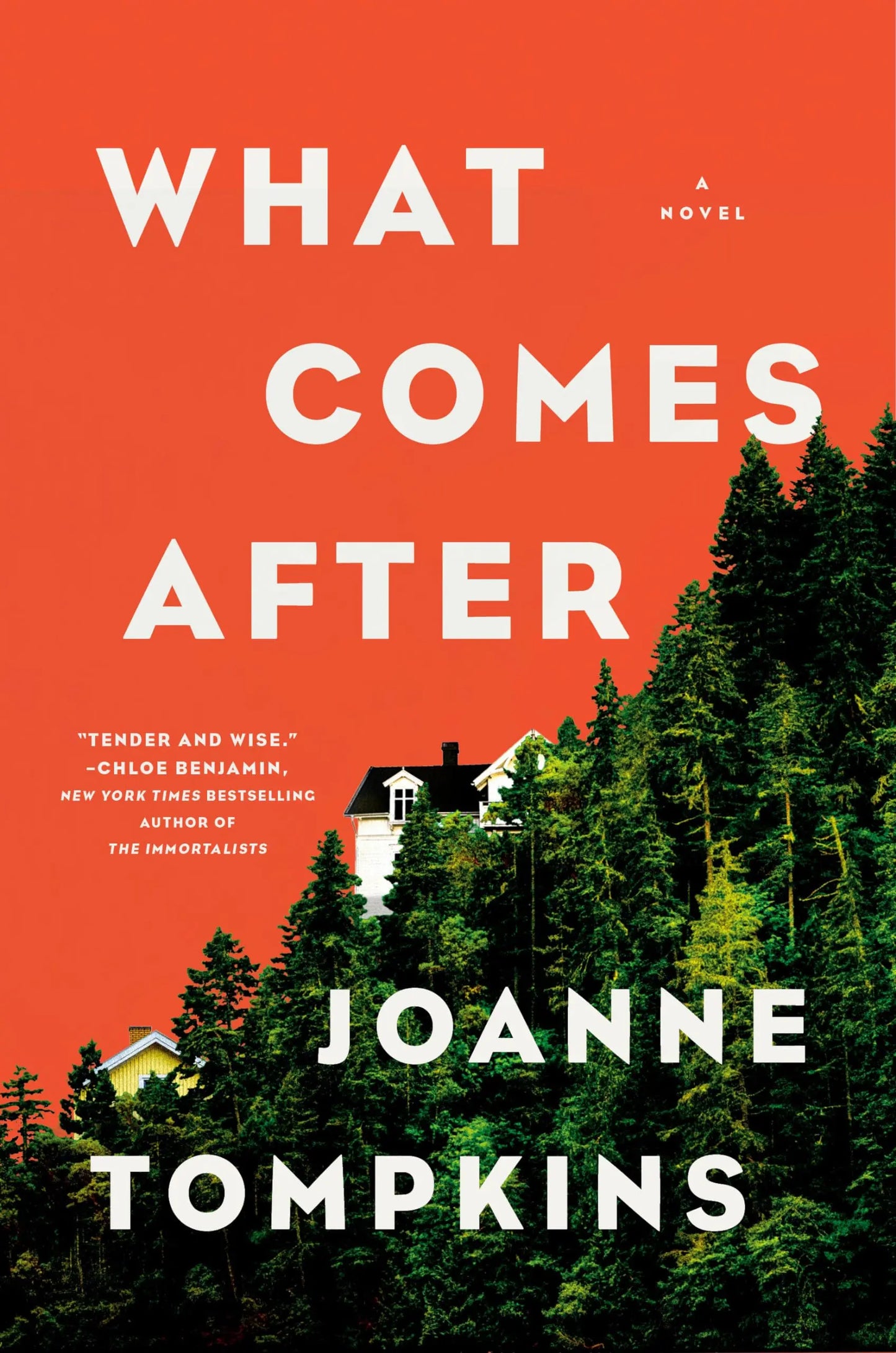 What Comes After: A Novel The Happy Book Stack