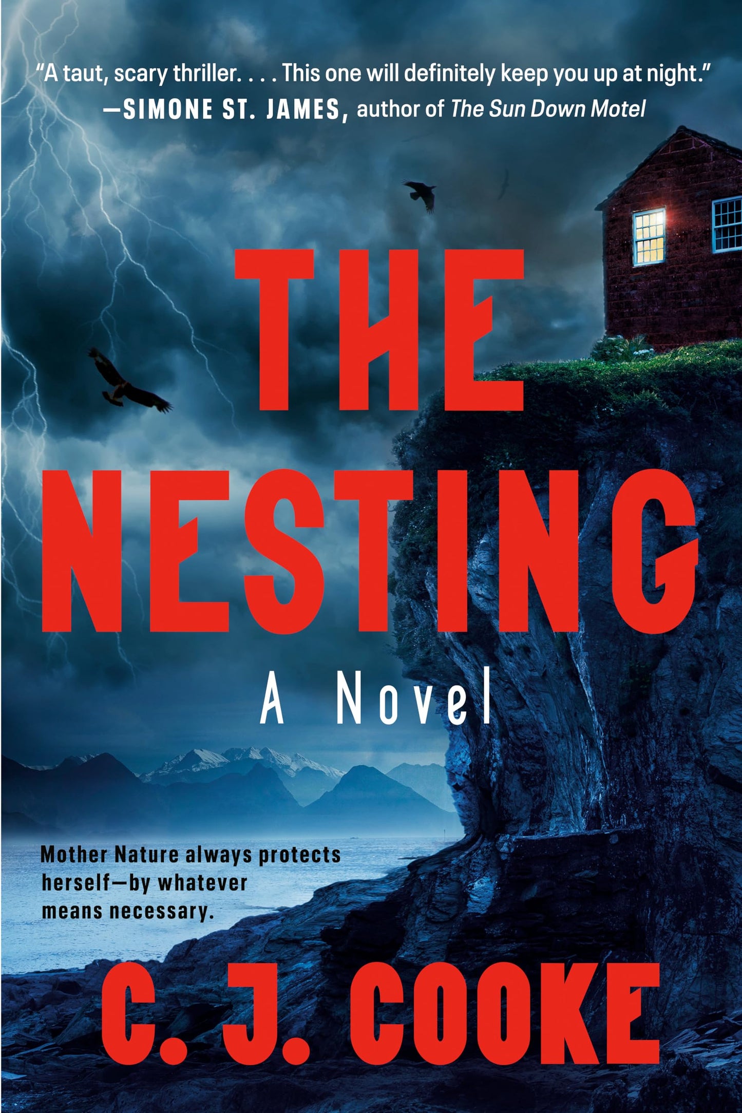 The Nesting The Happy Book Stack