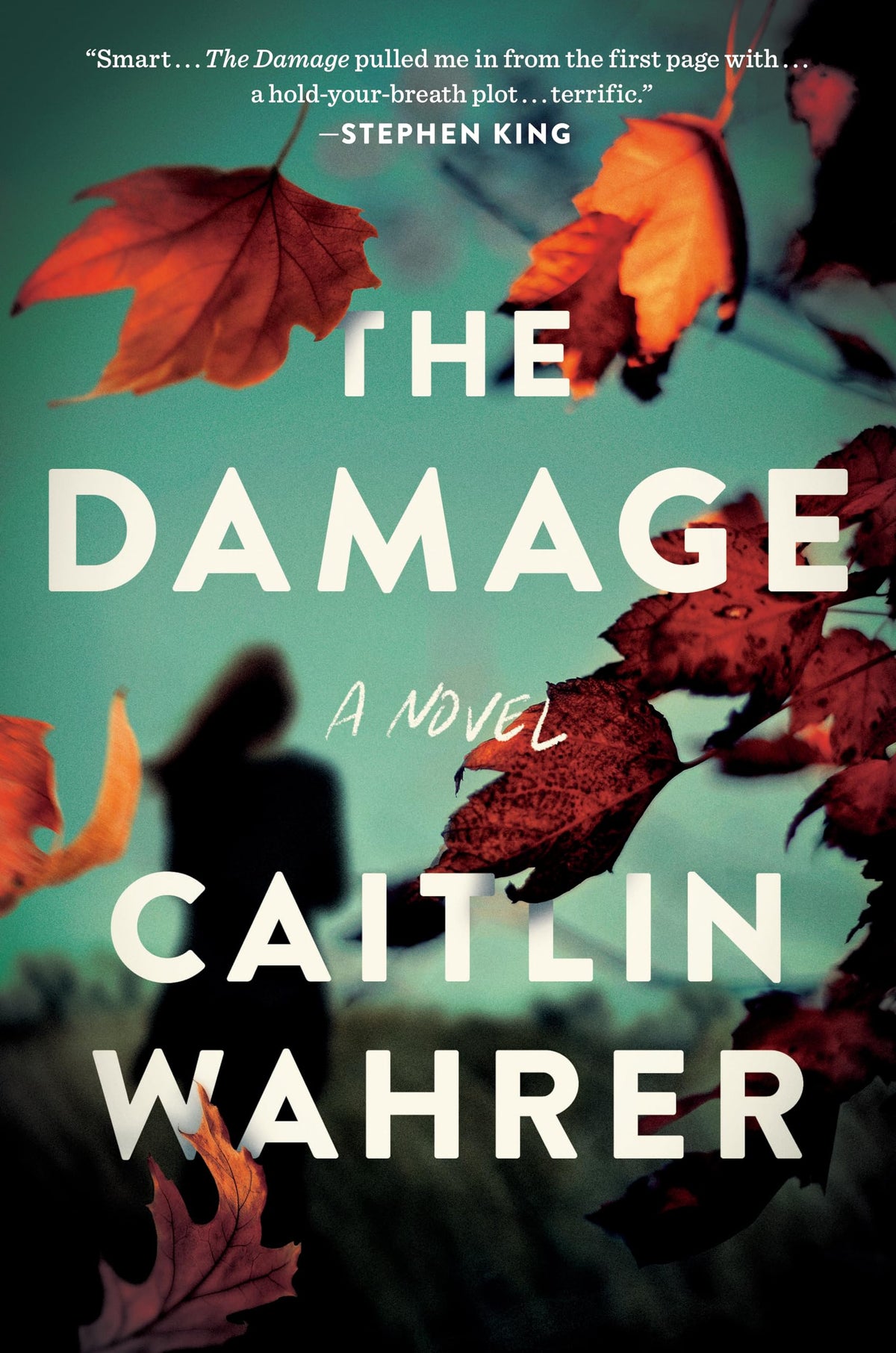 The Damage: A Novel The Happy Book Stack