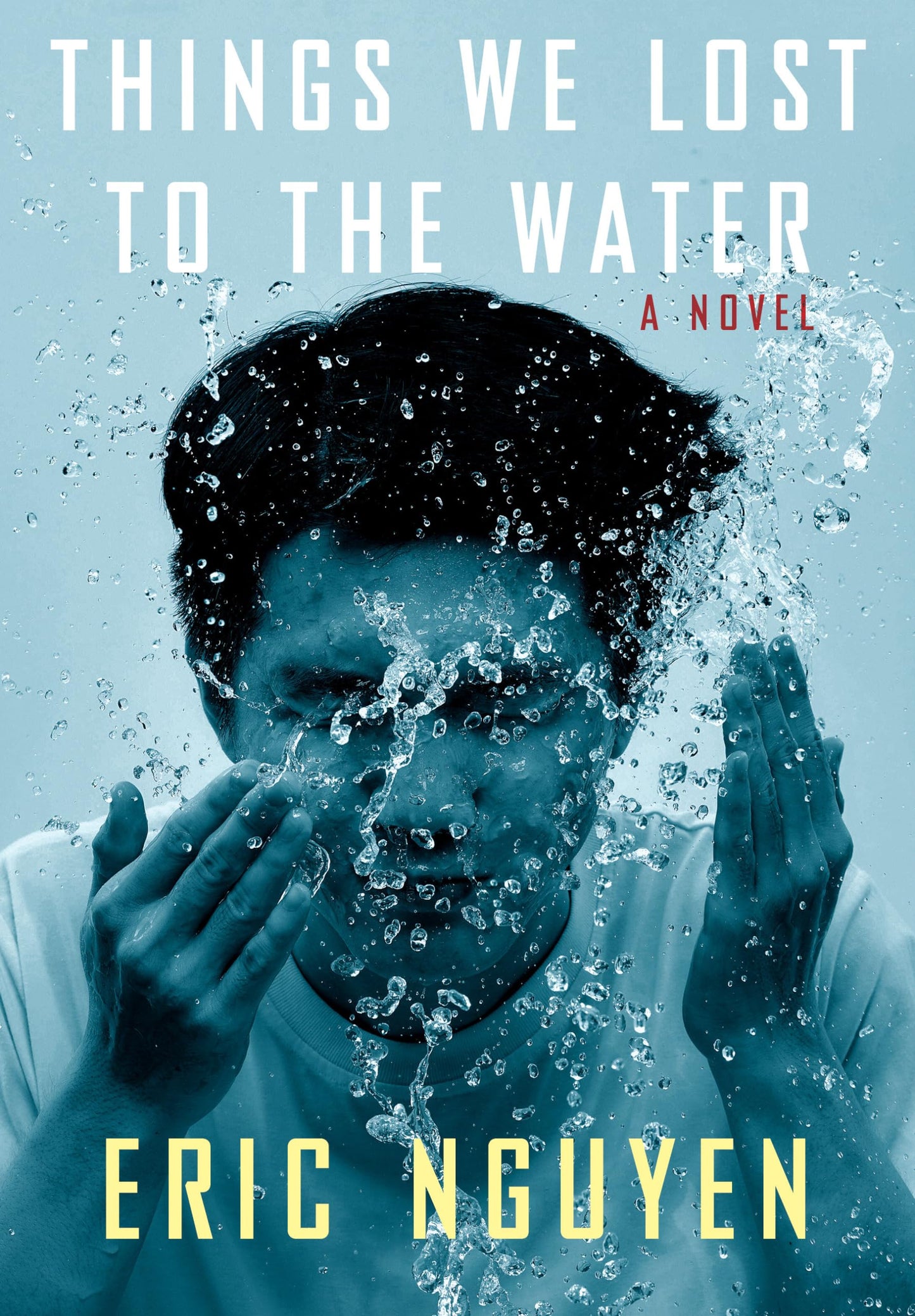Things We Lost to the Water: A novel The Happy Book Stack