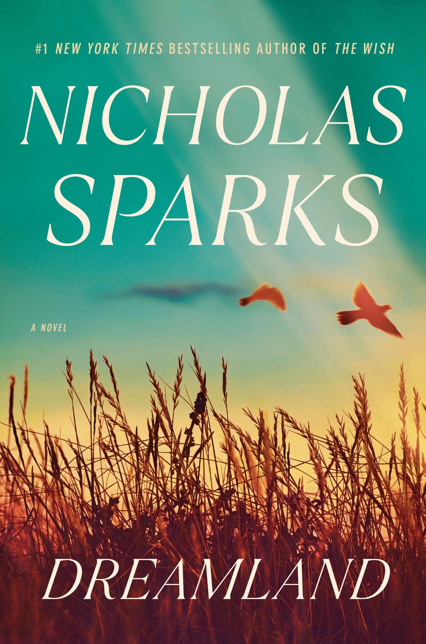Dreamland: A Novel The Happy Book Stack