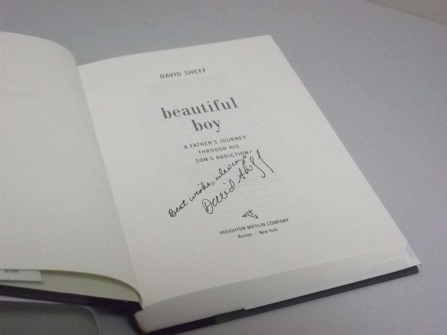 Beautiful Boy: A Father's Journey Through His Son's Addiction The Happy Book Stack
