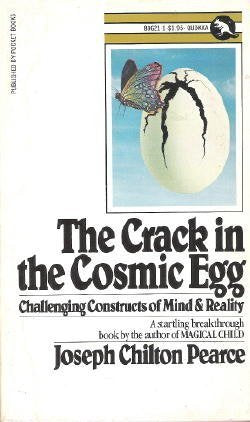 The Crack In the Cosmic Egg - 8383