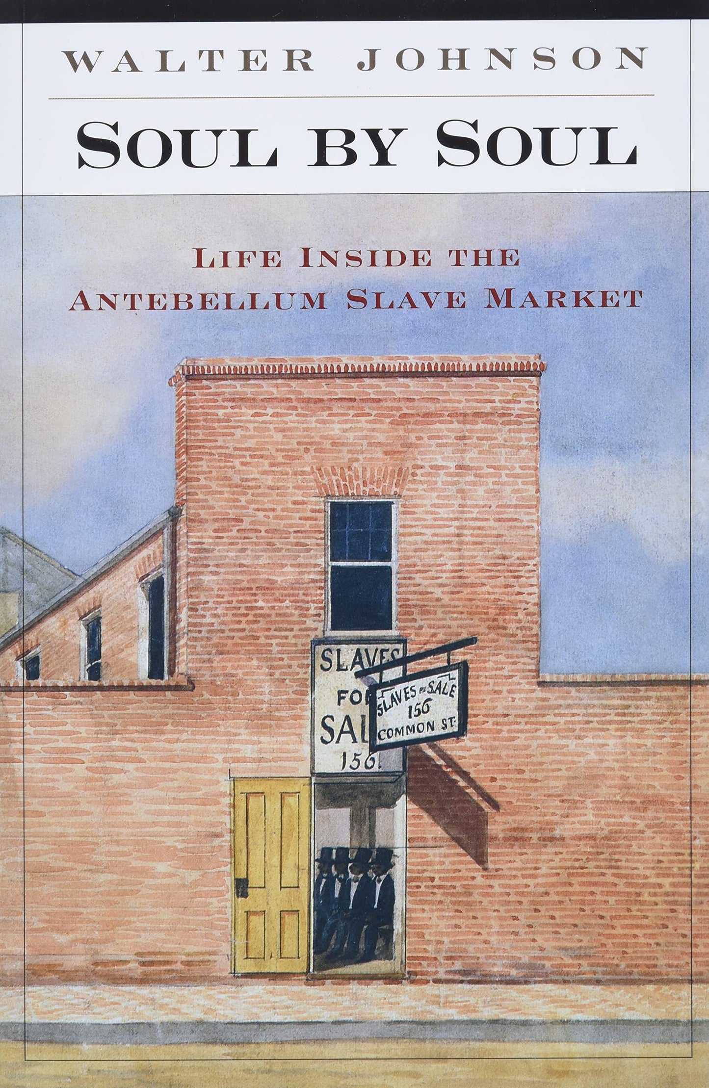 Soul by Soul: Life Inside the Antebellum Slave Market The Happy Book Stack