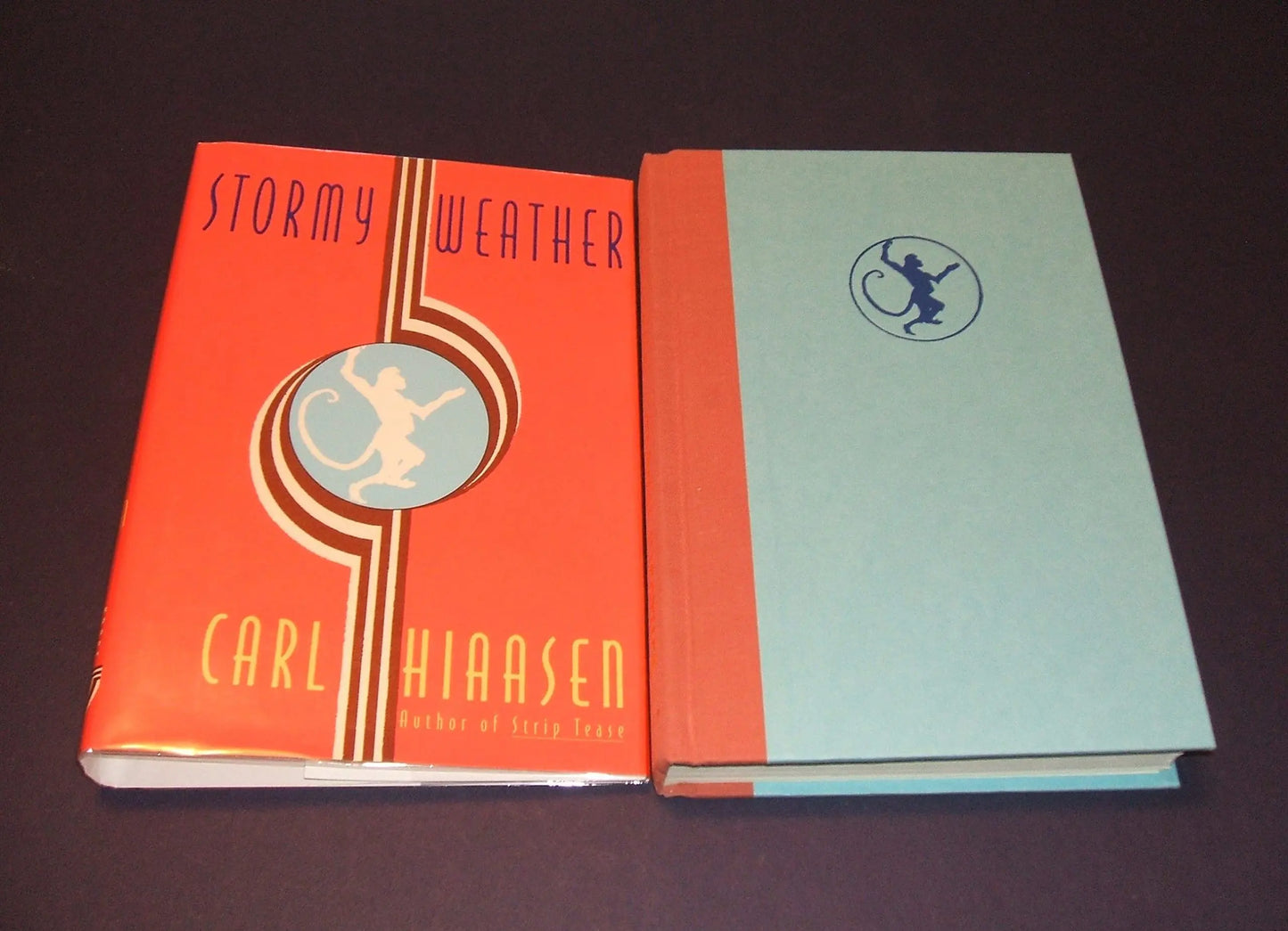 Stormy Weather The Happy Book Stack