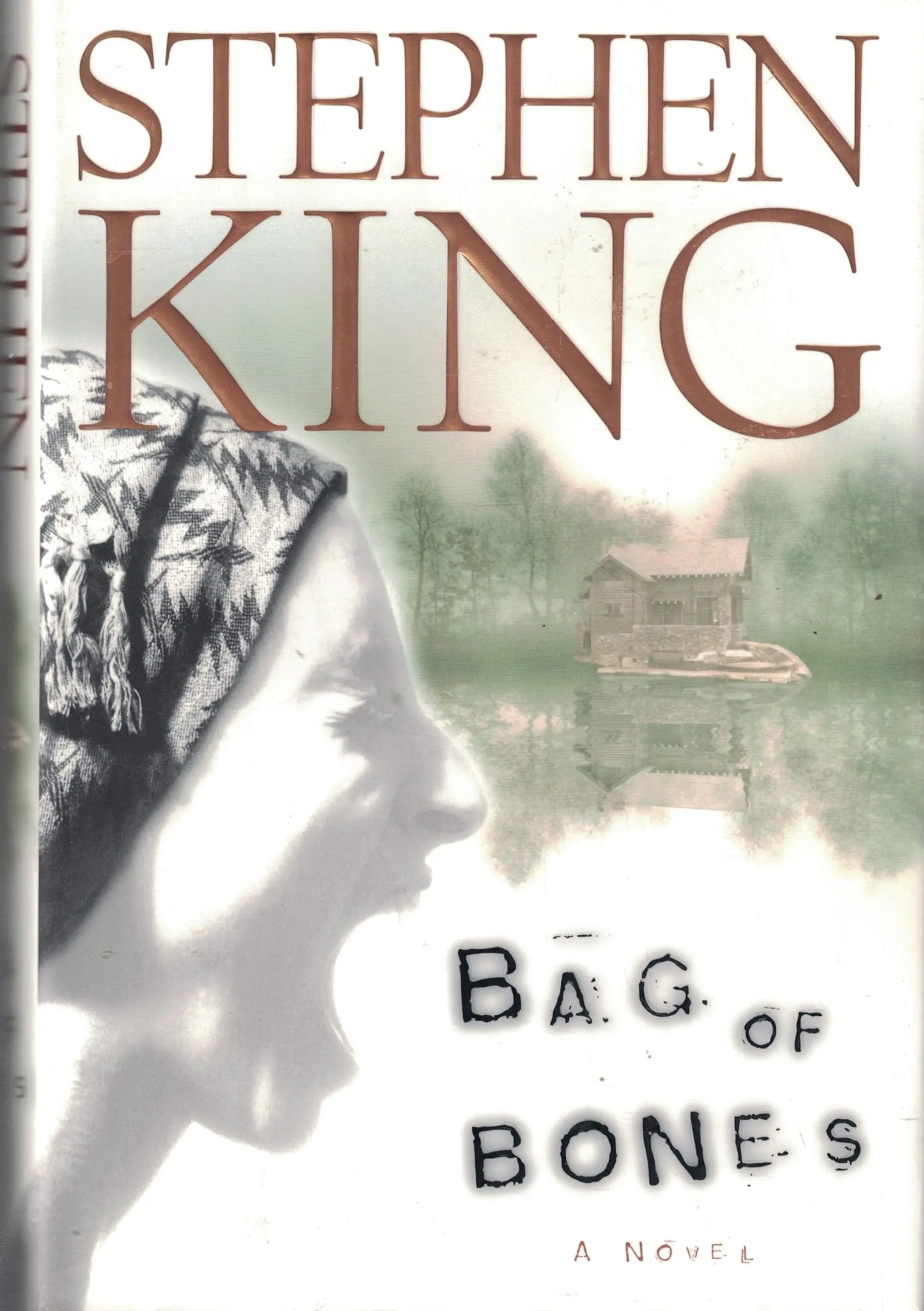 Bag of Bones The Happy Book Stack