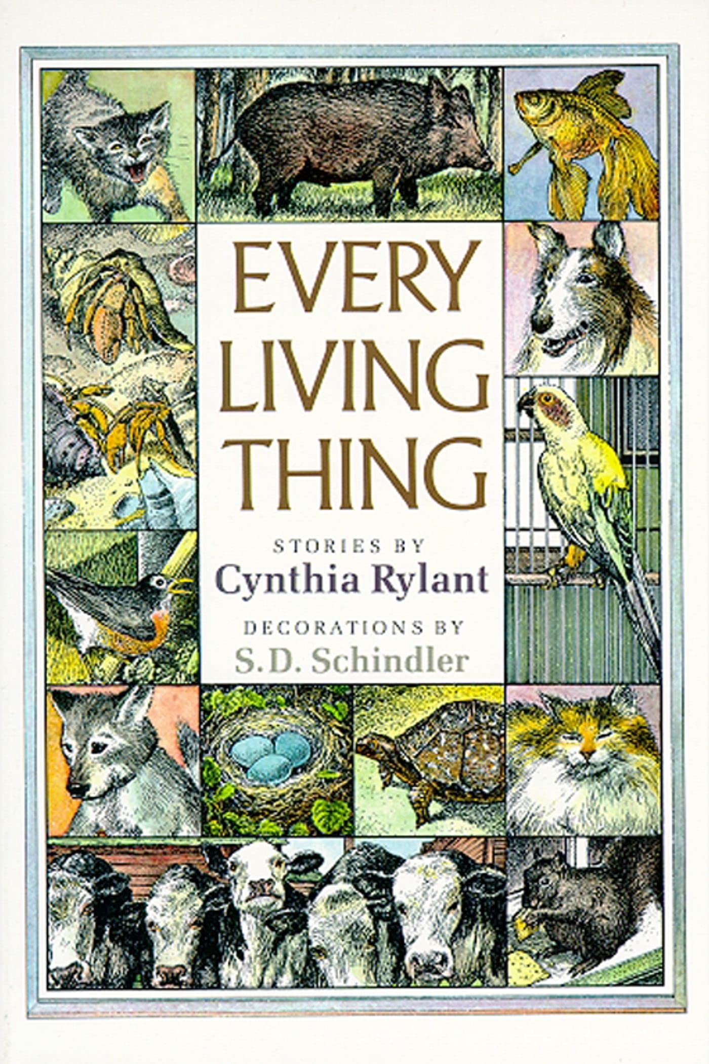Every Living Thing The Happy Book Stack