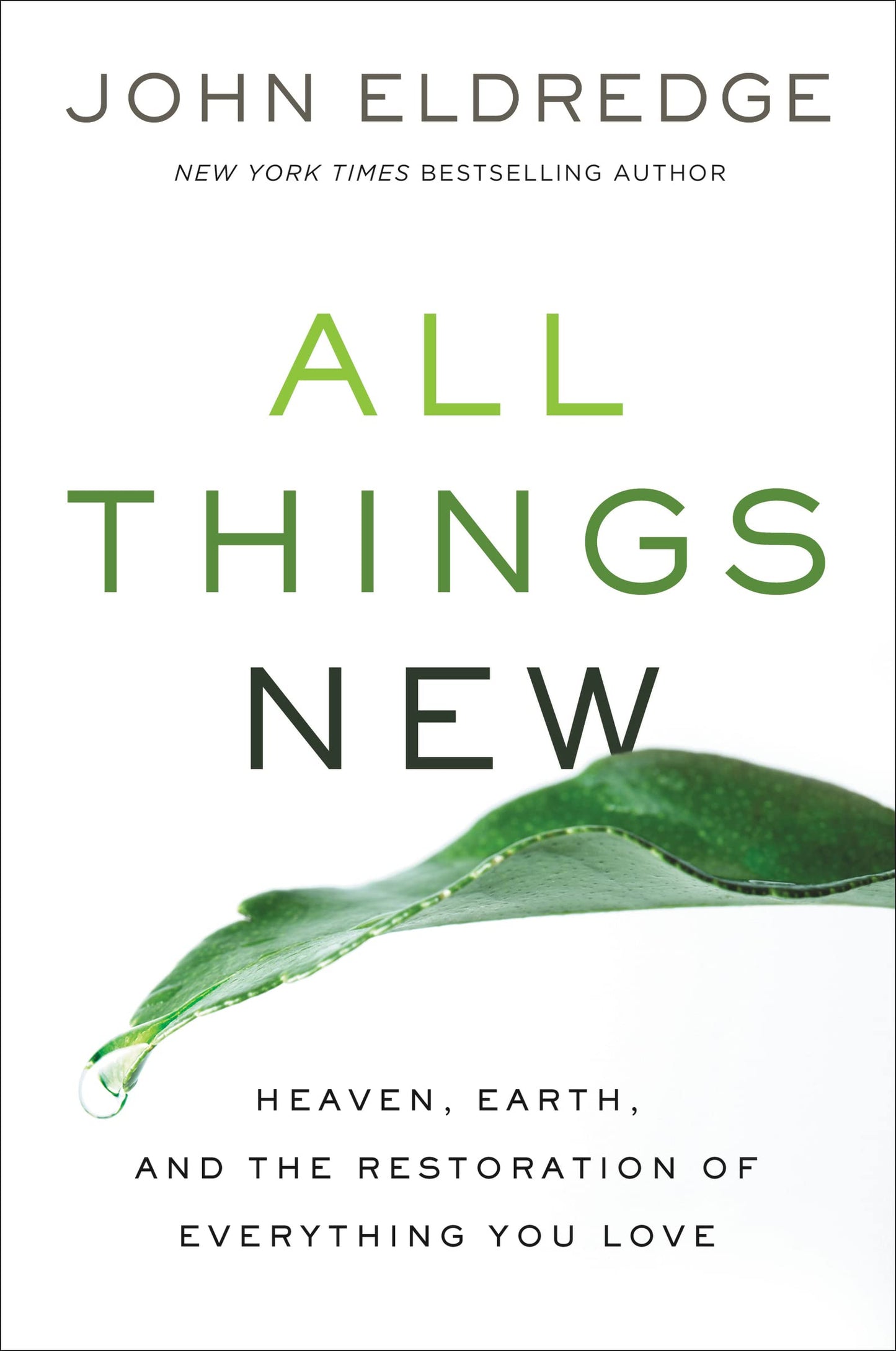 All Things New: Heaven, Earth, and the Restoration of Everything You Love The Happy Book Stack