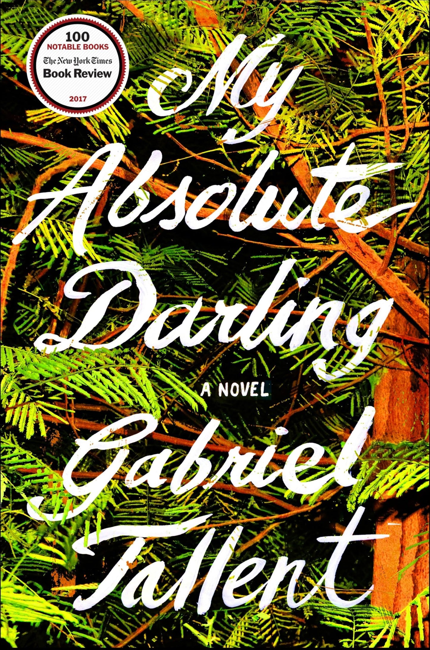 My Absolute Darling: A Novel The Happy Book Stack