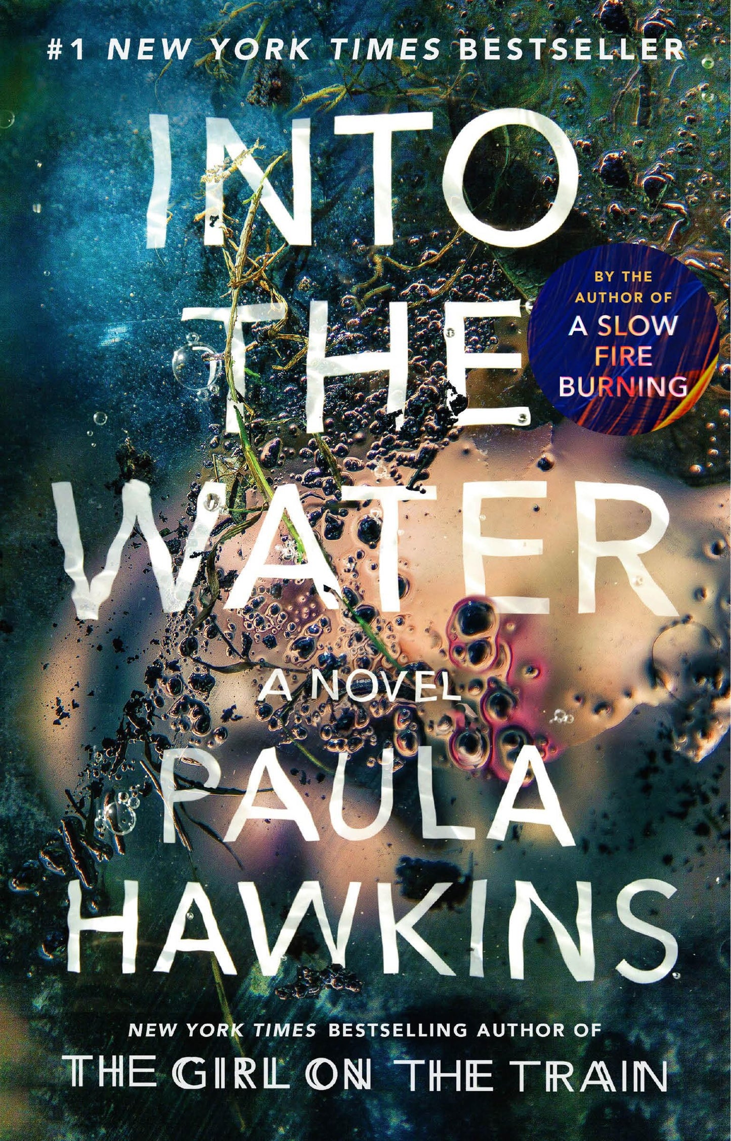 Into the Water: A Novel The Happy Book Stack
