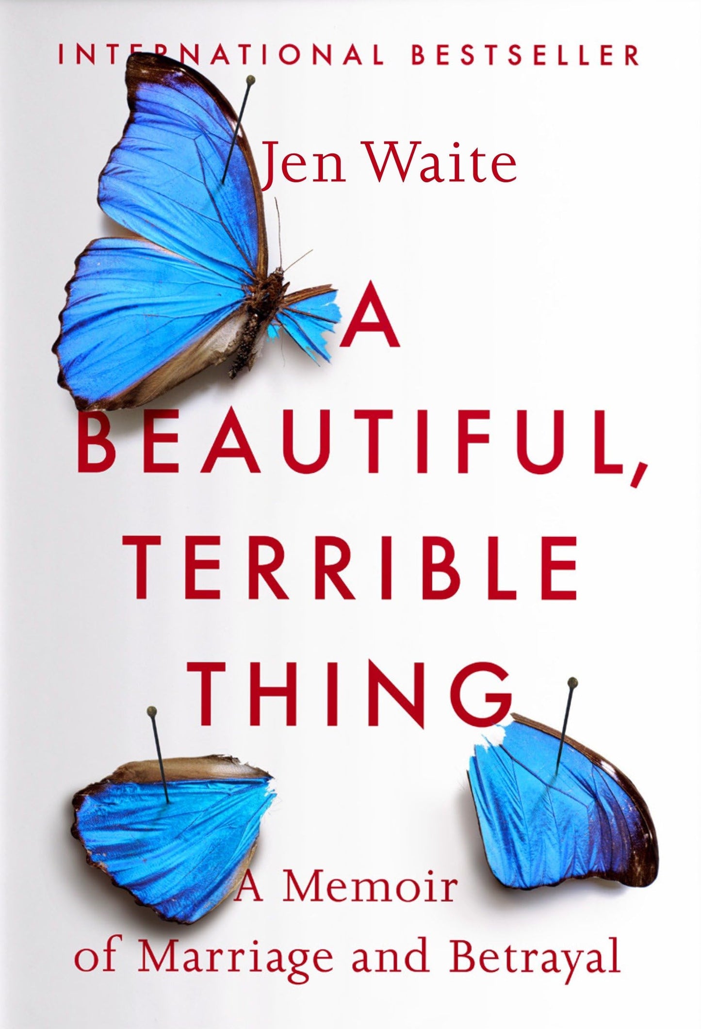 A Beautiful, Terrible Thing: A Memoir of Marriage and Betrayal The Happy Book Stack