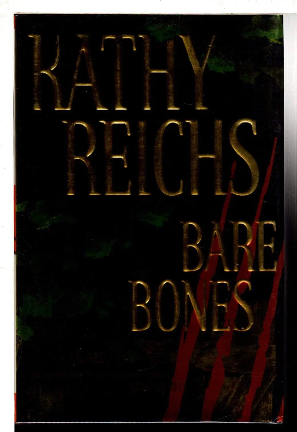 Bare Bones: A Novel The Happy Book Stack