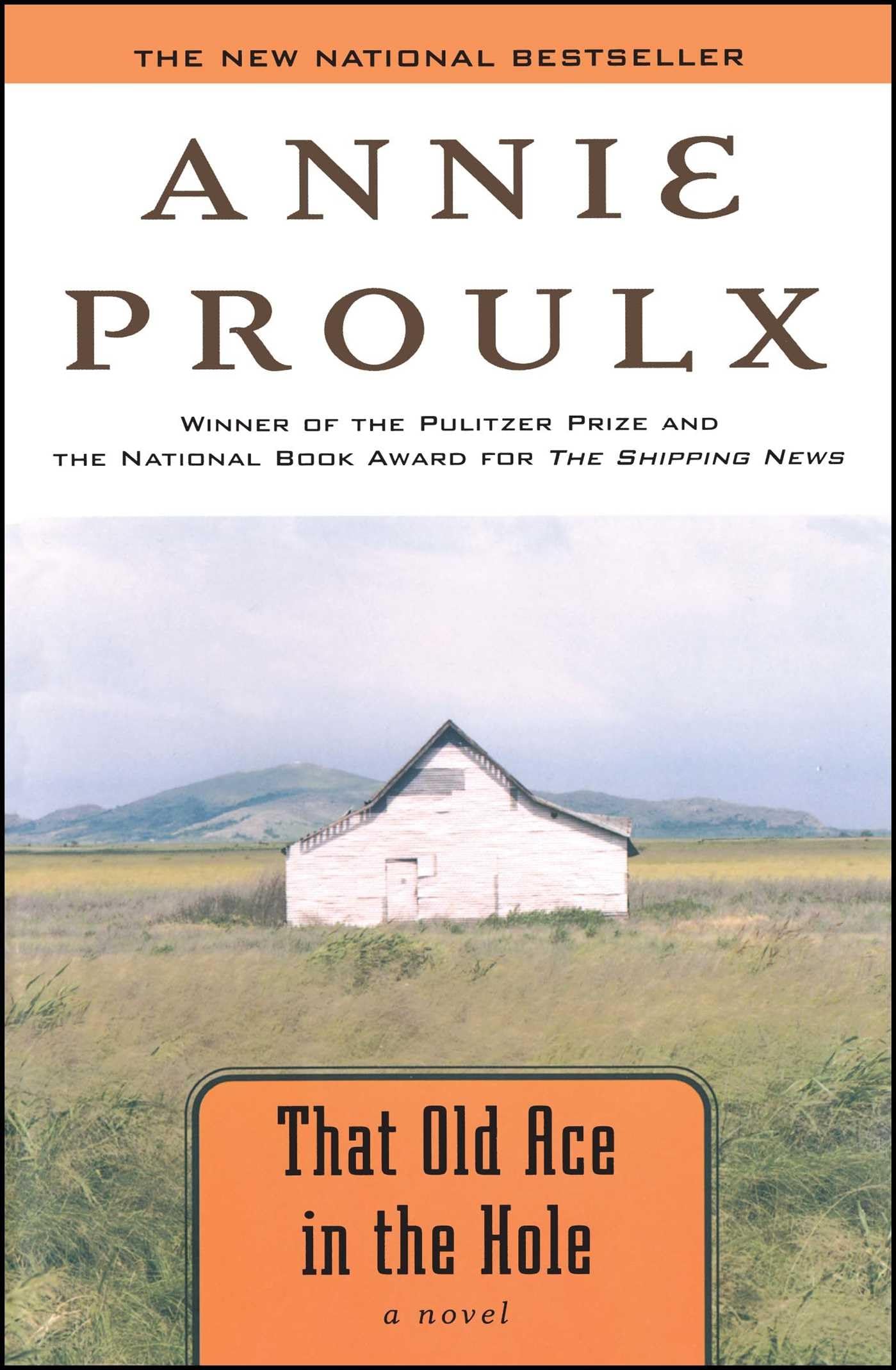 That Old Ace in the Hole: A Novel The Happy Book Stack