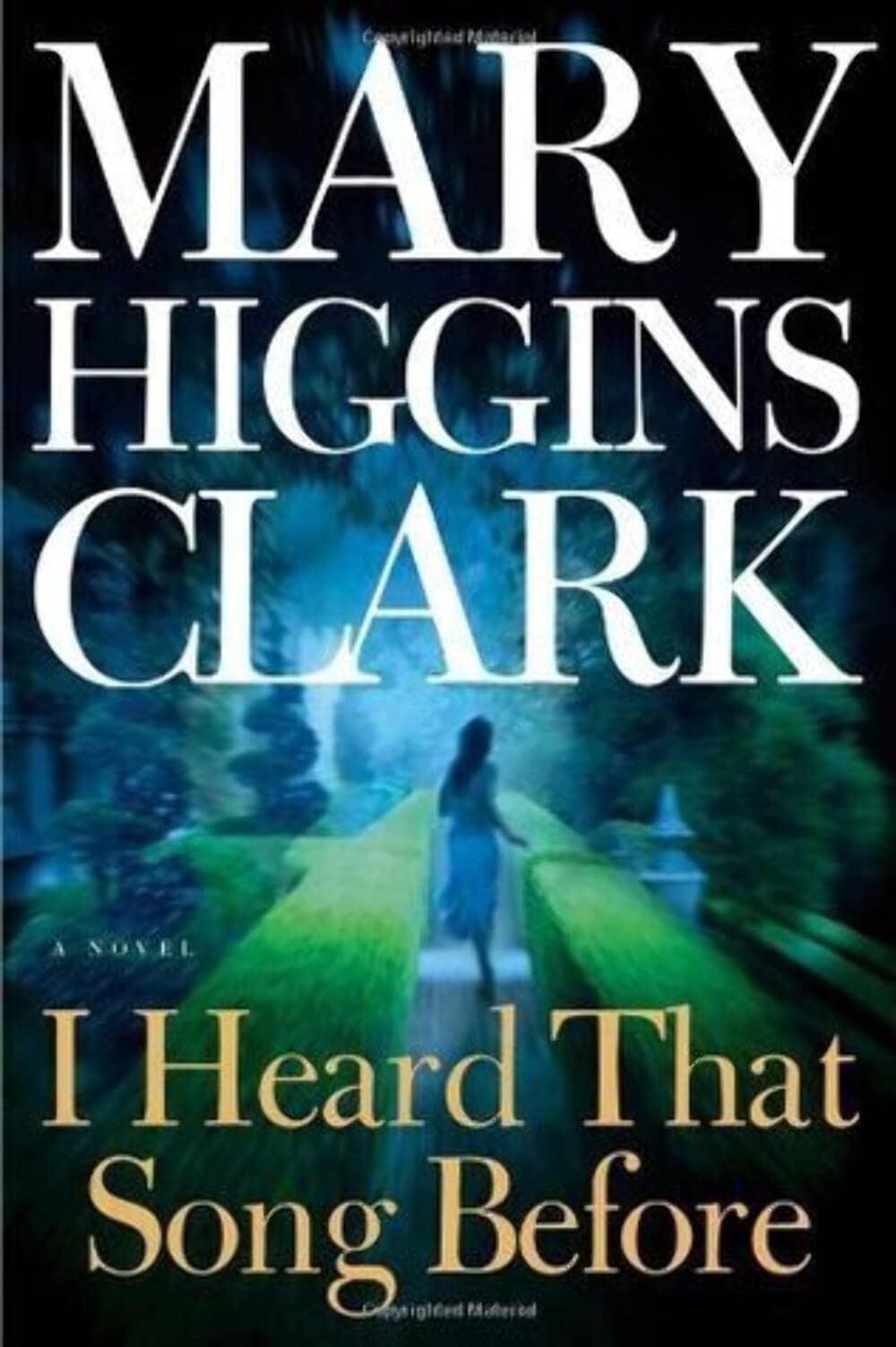 I Heard That Song Before: A Novel The Happy Book Stack