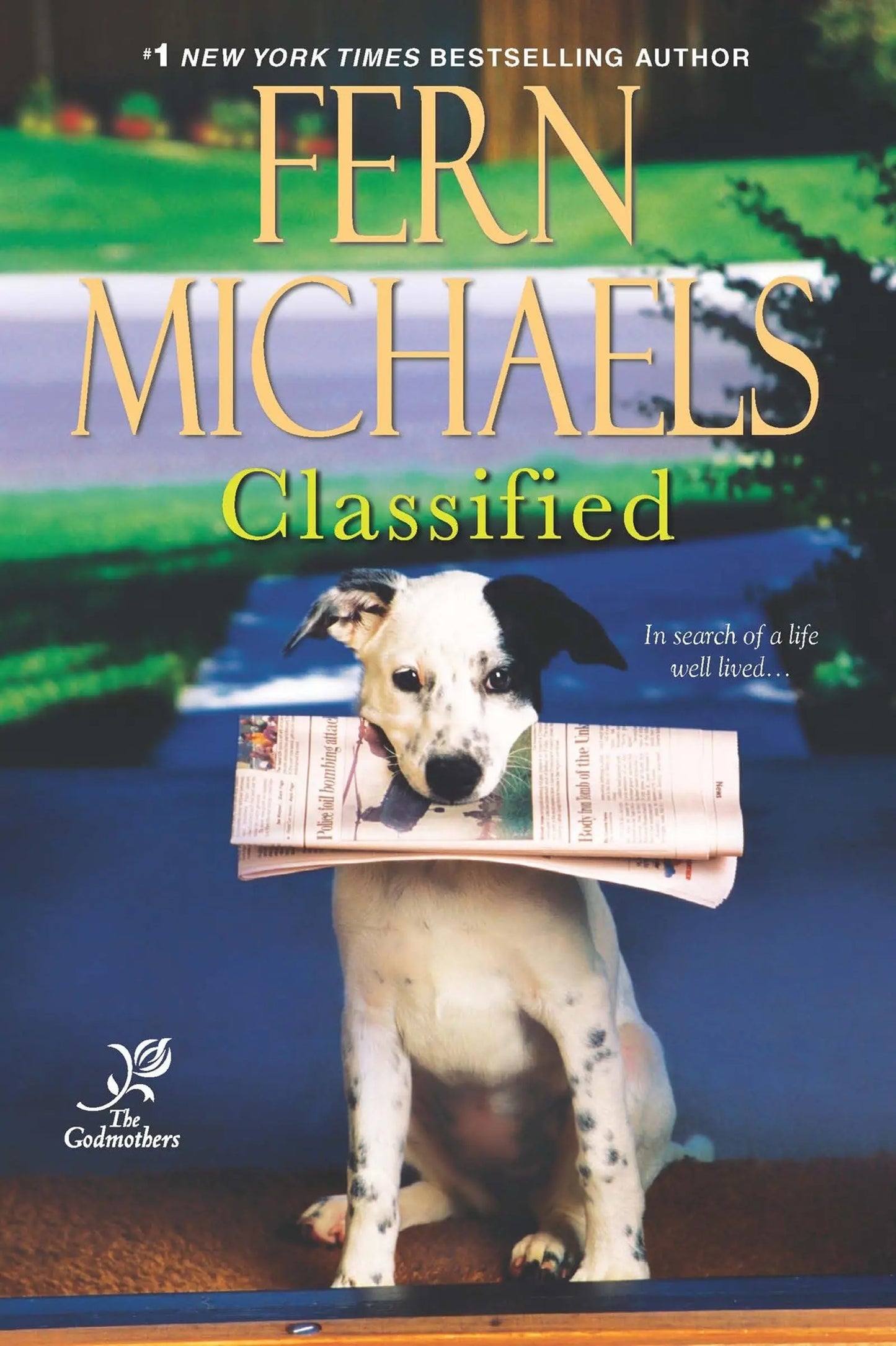 Classified (Godmothers) The Happy Book Stack