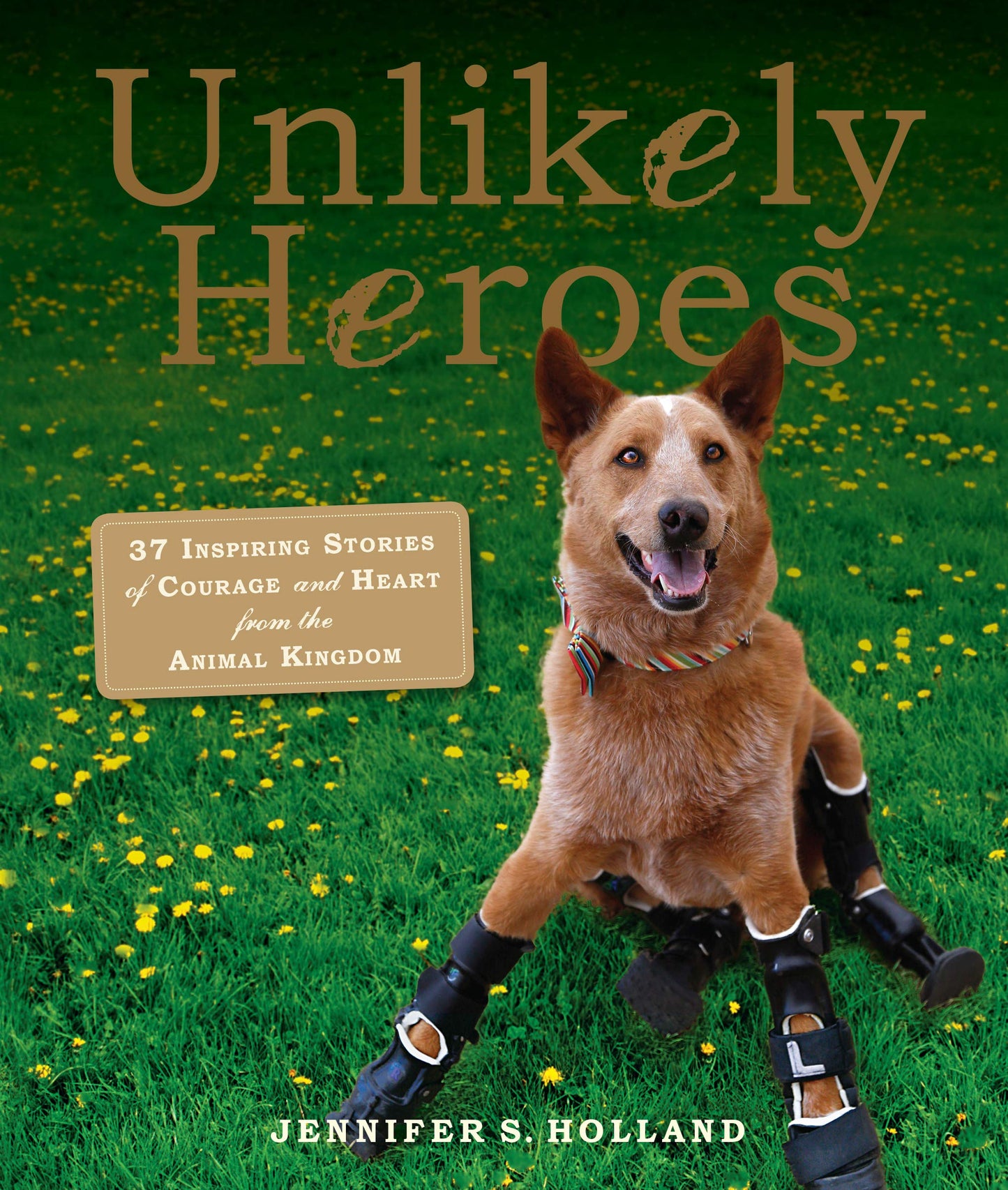 Unlikely Heroes: 37 Inspiring Stories of Courage and Heart from the Animal Kingdom (Unlikely Friendships) The Happy Book Stack
