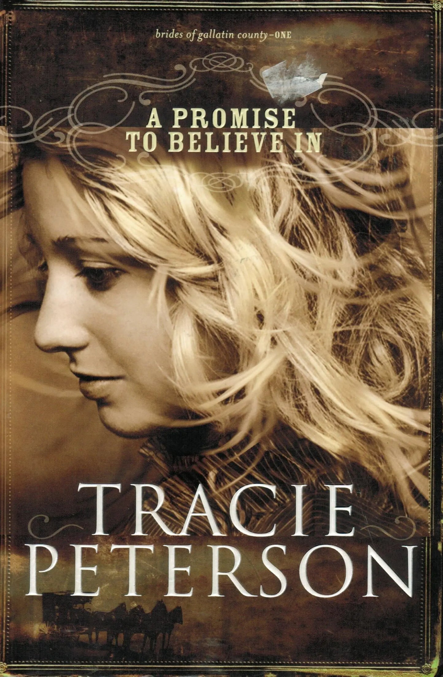 A Promise to Believe In The Happy Book Stack