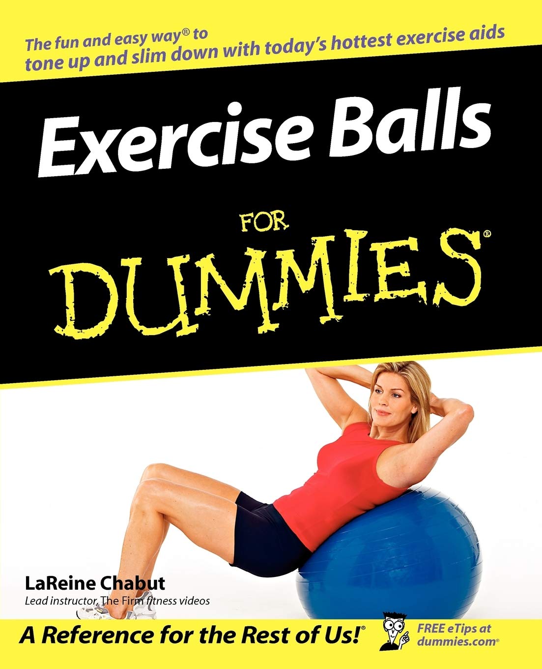 Exercise Balls For Dummies The Happy Book Stack