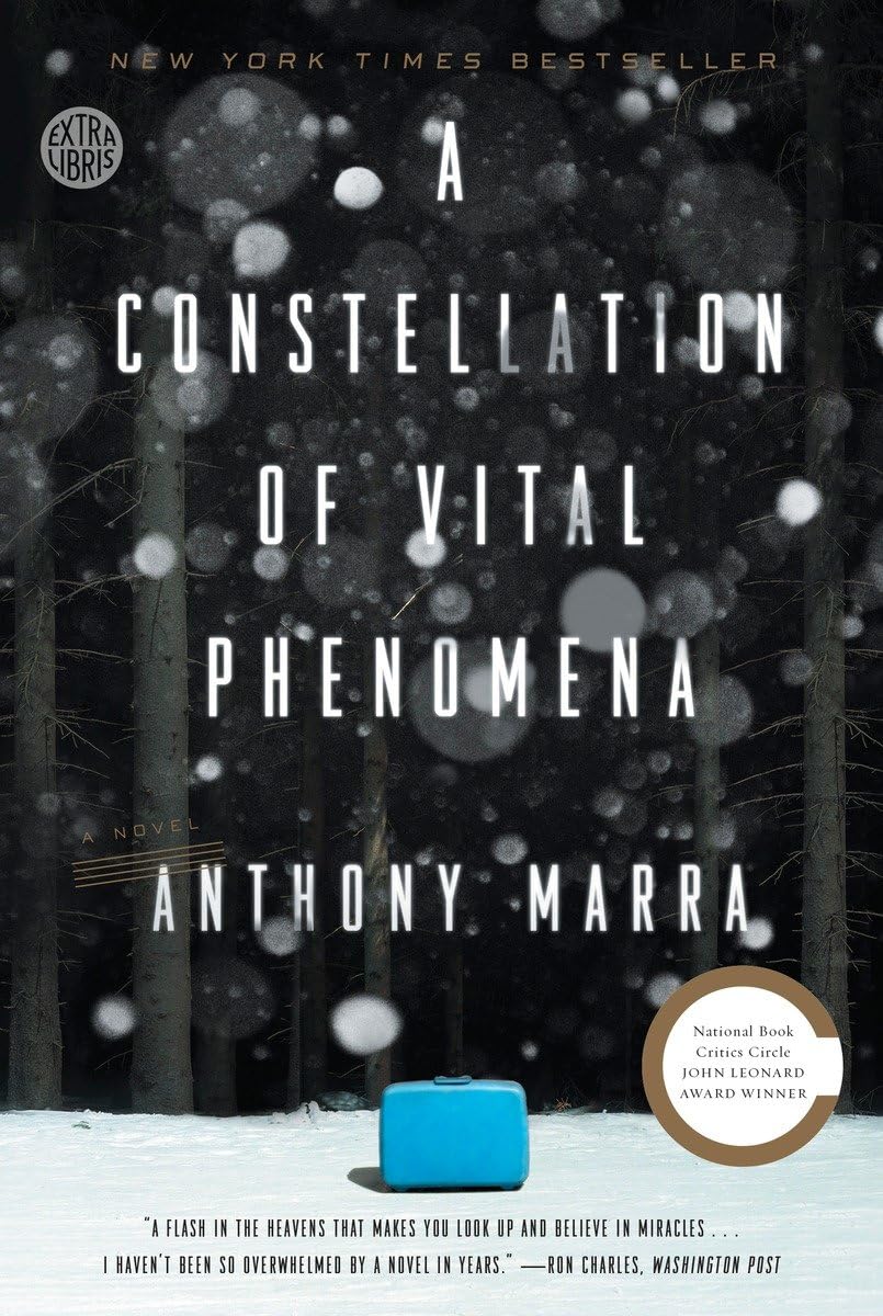 A Constellation of Vital Phenomena: A Novel The Happy Book Stack