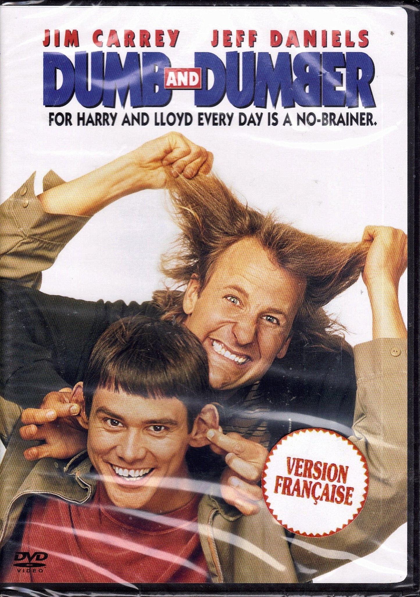 Dumb and Dumber The Happy Book Stack