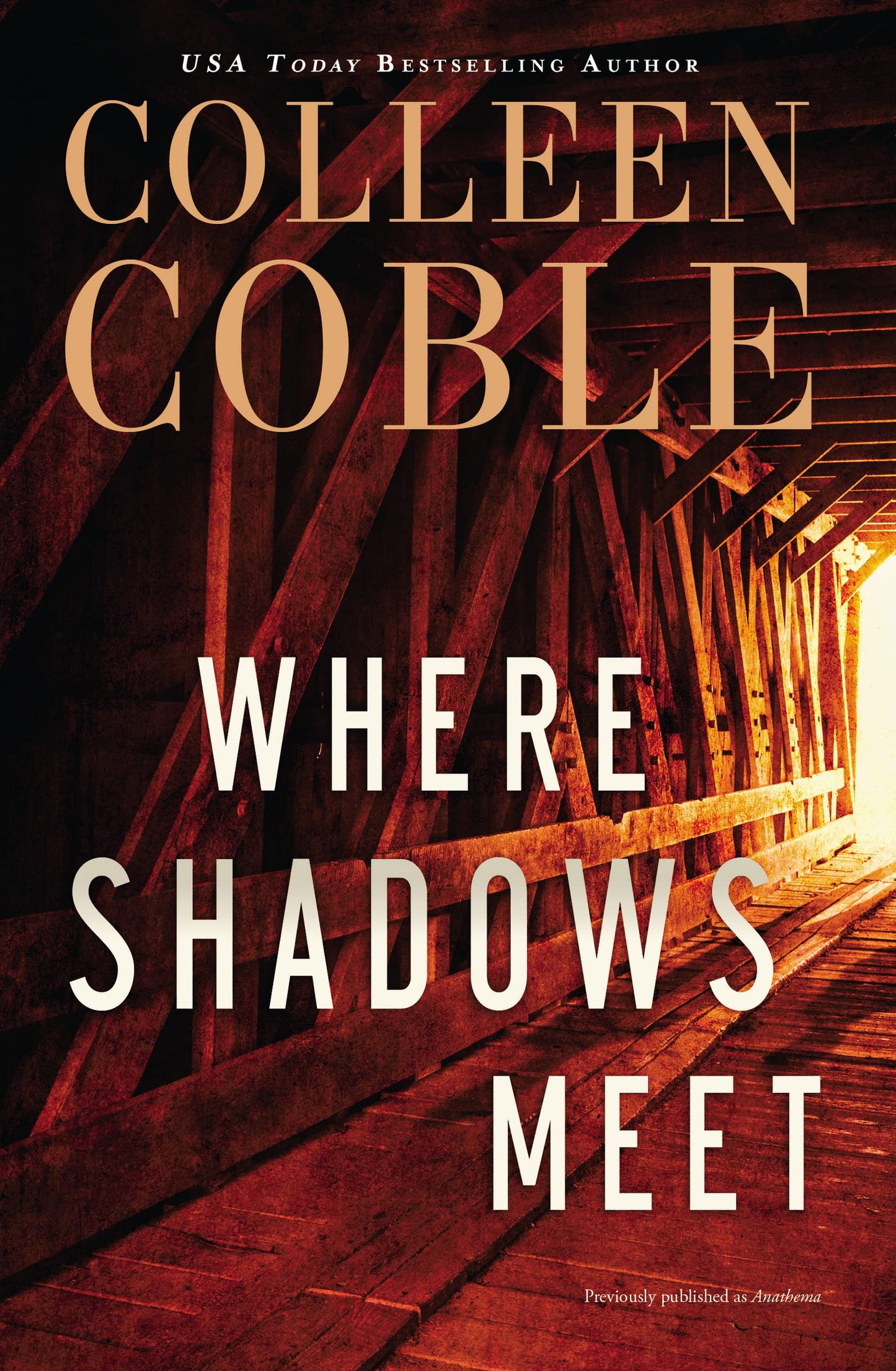 Where Shadows Meet: A Romantic Suspense Novel The Happy Book Stack