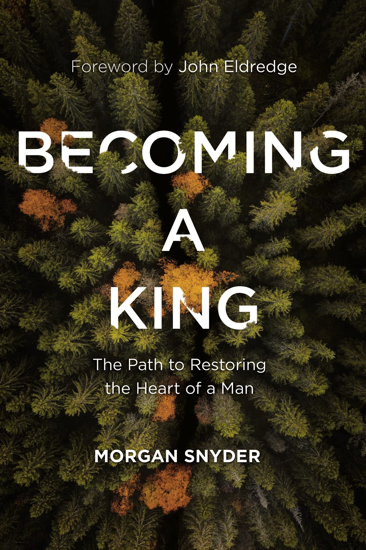 Becoming a King: The Path to Restoring the Heart of a Man The Happy Book Stack