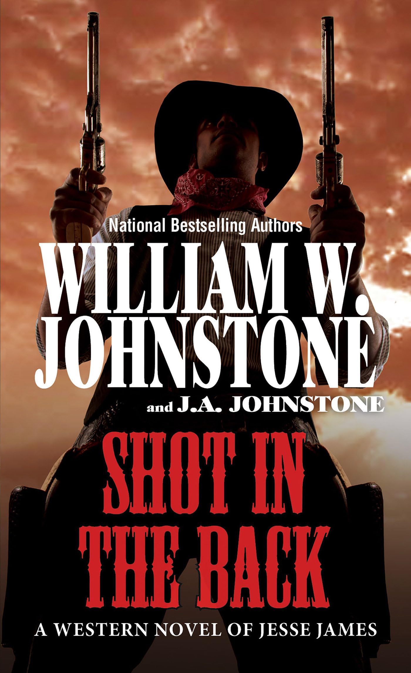Shot in the Back The Happy Book Stack
