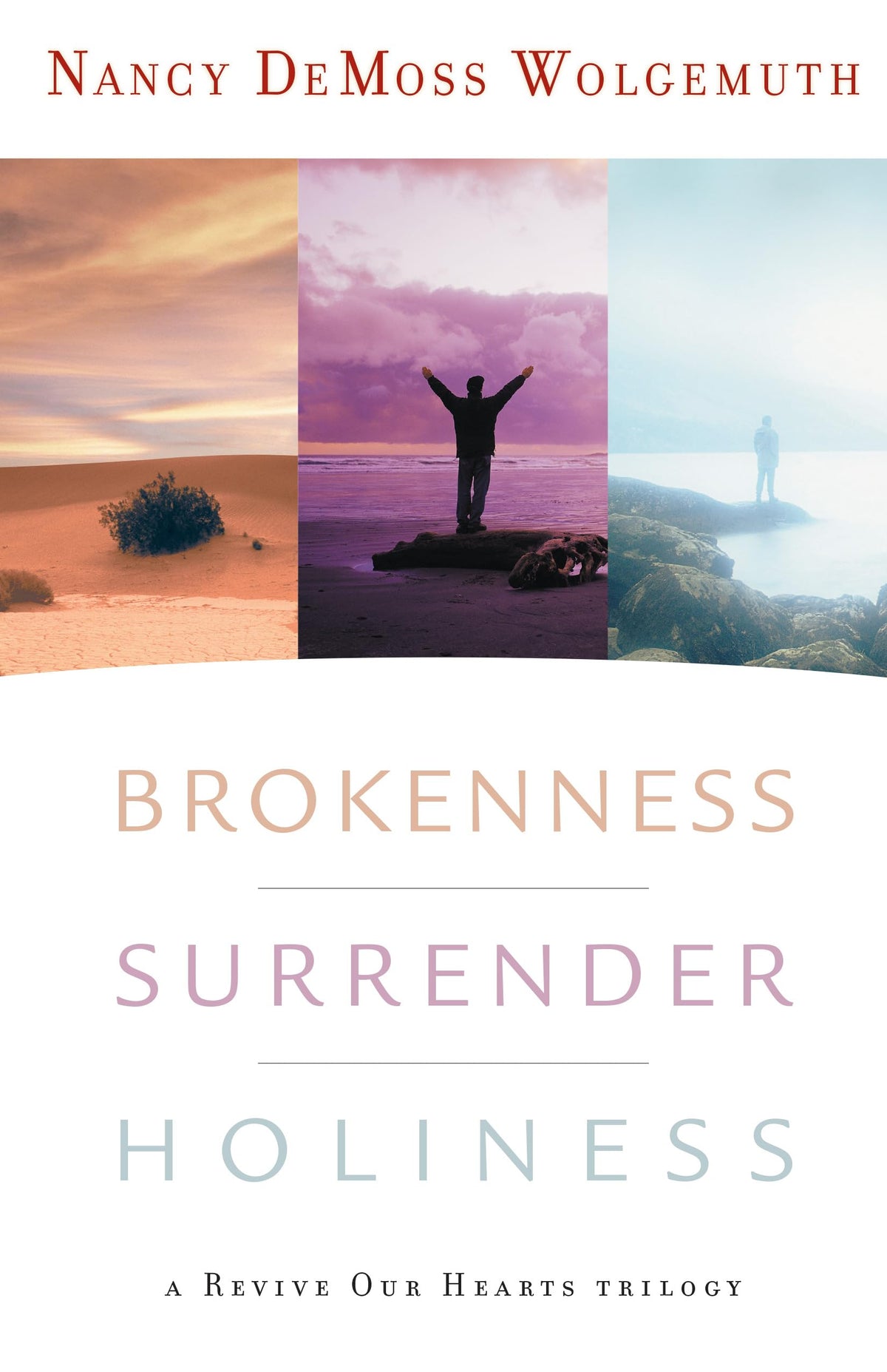 Brokenness, Surrender, Holiness: A Revive Our Hearts Trilogy (Revive Our Hearts Series) The Happy Book Stack