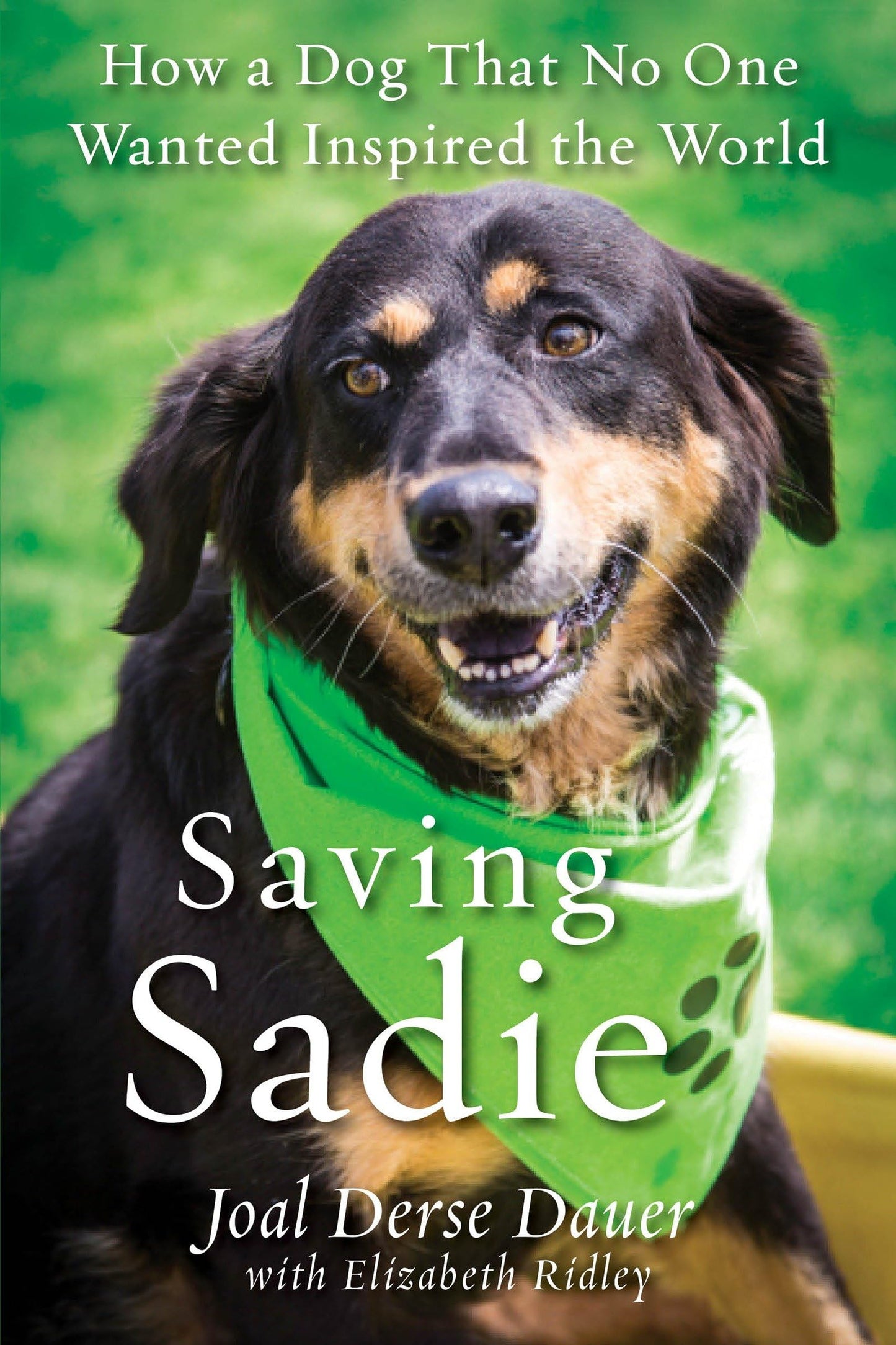 Saving Sadie: How a Dog That No One Wanted Inspired the World The Happy Book Stack