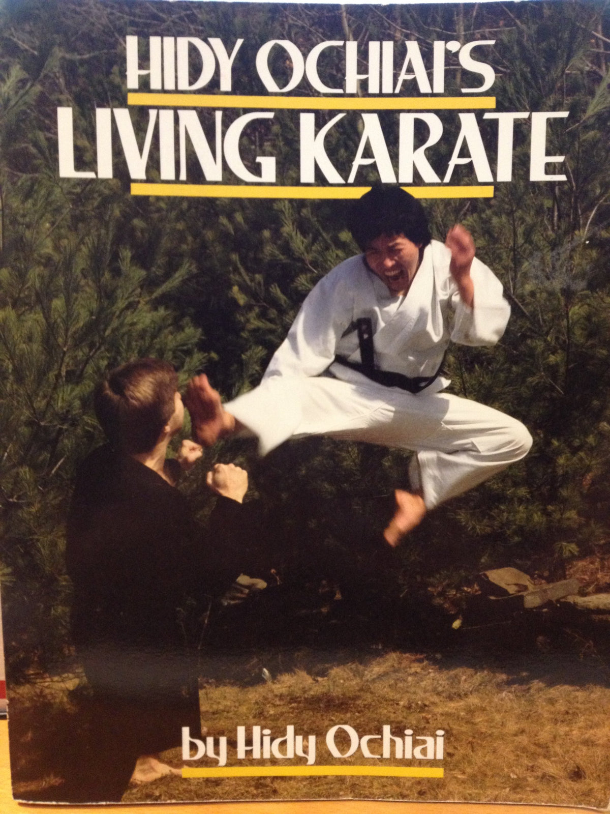 Hidy Ochiai's Living Karate The Happy Book Stack